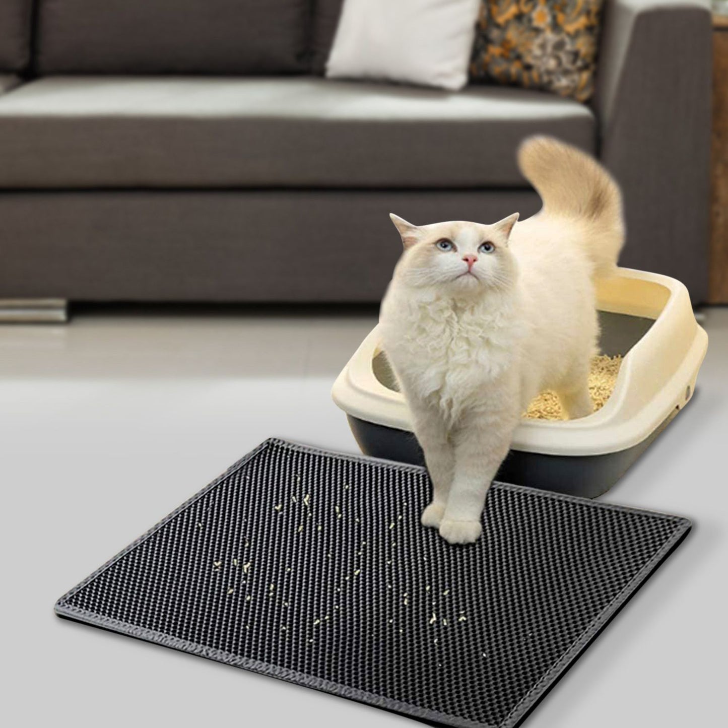 cat walking from litter box across mat that traps stray litter granules near living room furniture