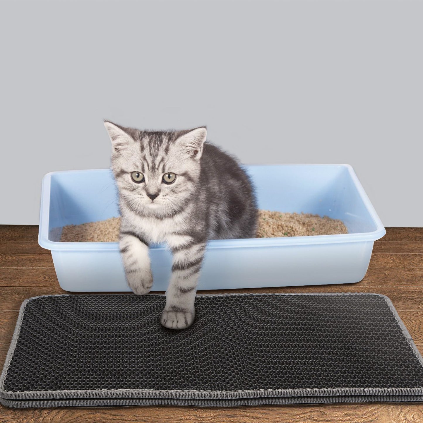 kitten in low litter box with black honeycomb mat placed outside the entrance on dark wood floor