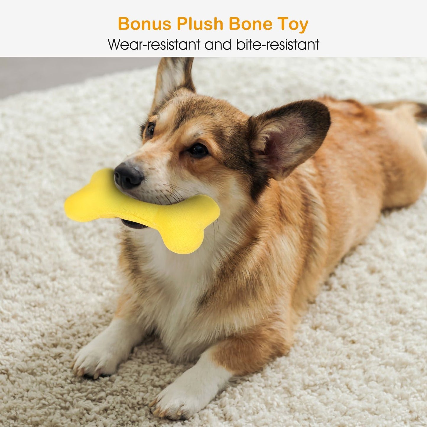 Yellow plush bone toy held by a corgi to show size and play use