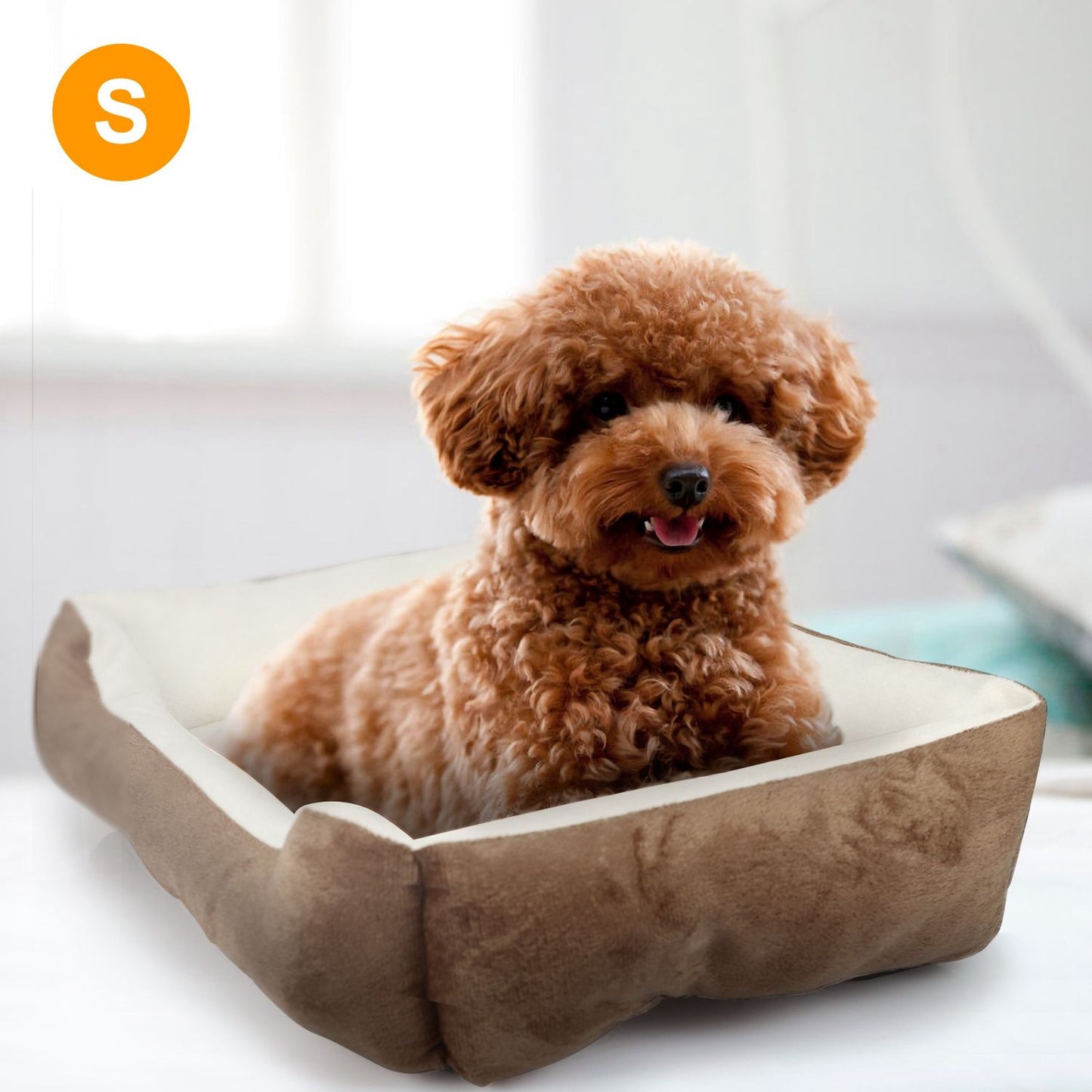 Small curly dog sitting in brown plush pet bed showing scale and fit