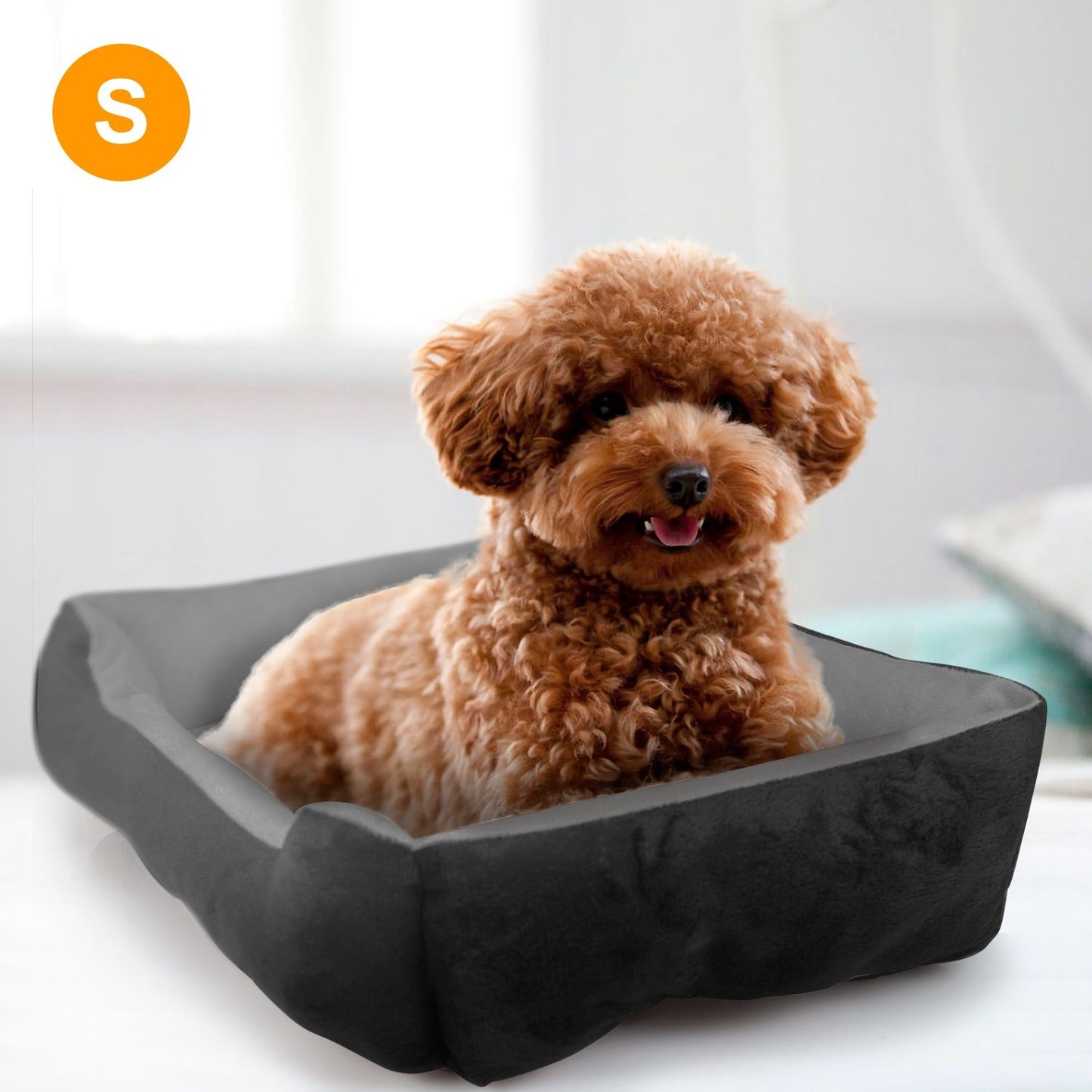 Curly-haired small dog lounging in gray plush pet bed showing bolsters and cushion