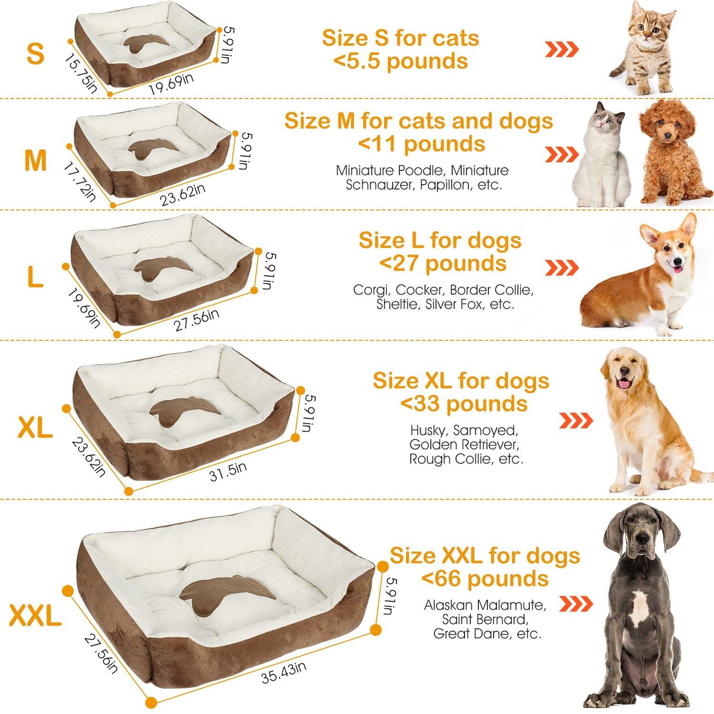 Infographic listing five bed sizes S to XXL with dimensions and suggested pet weights and breeds