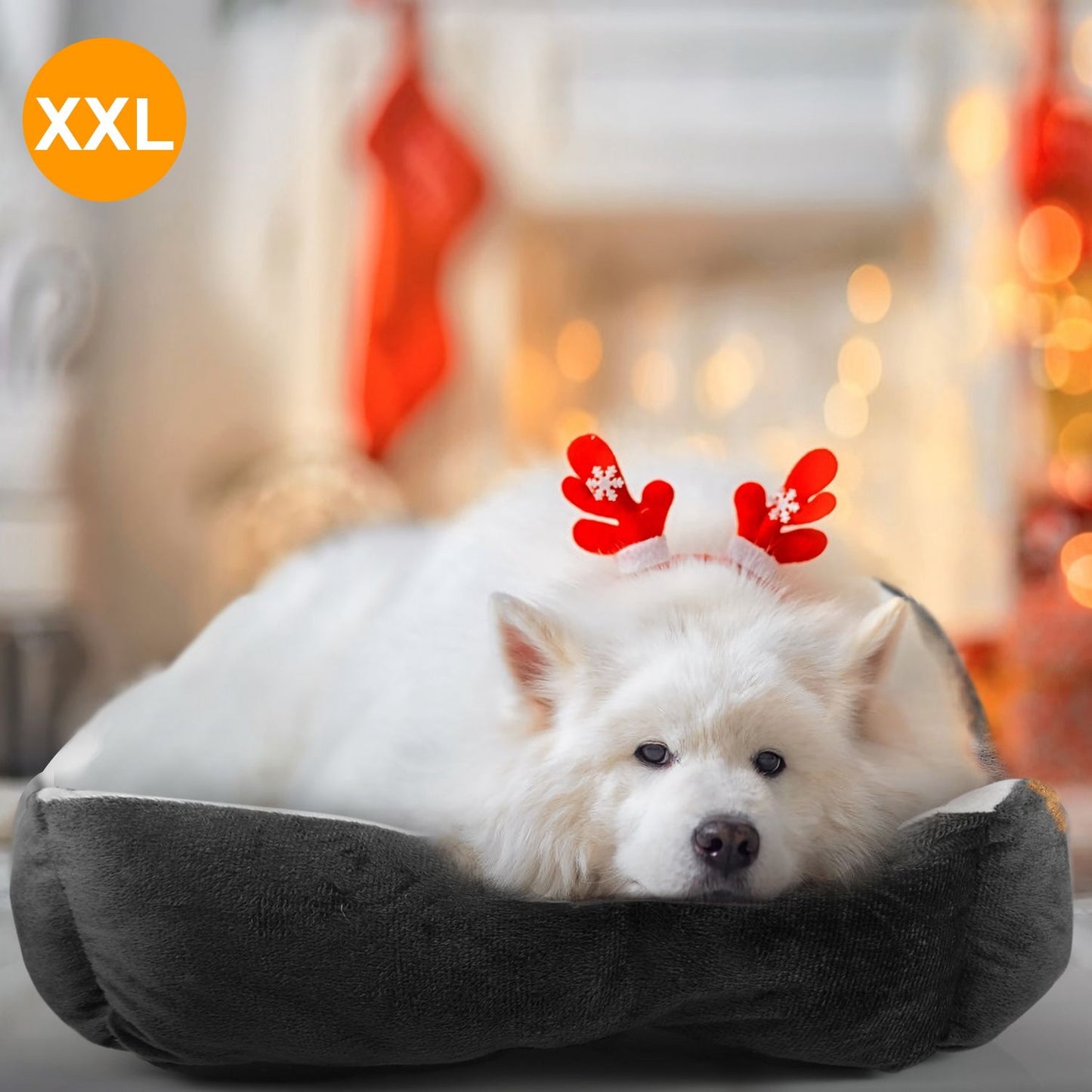 Large dark gray plush pet bed in use with a white dog resting its head and an XXL size badge