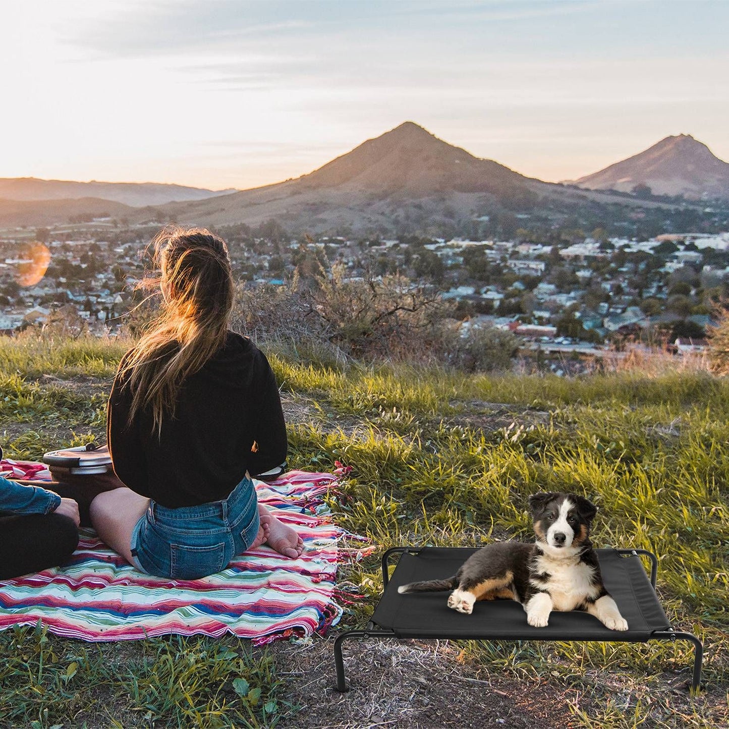 Elevated pet bed with dog beside picnic blanket on a grassy hill