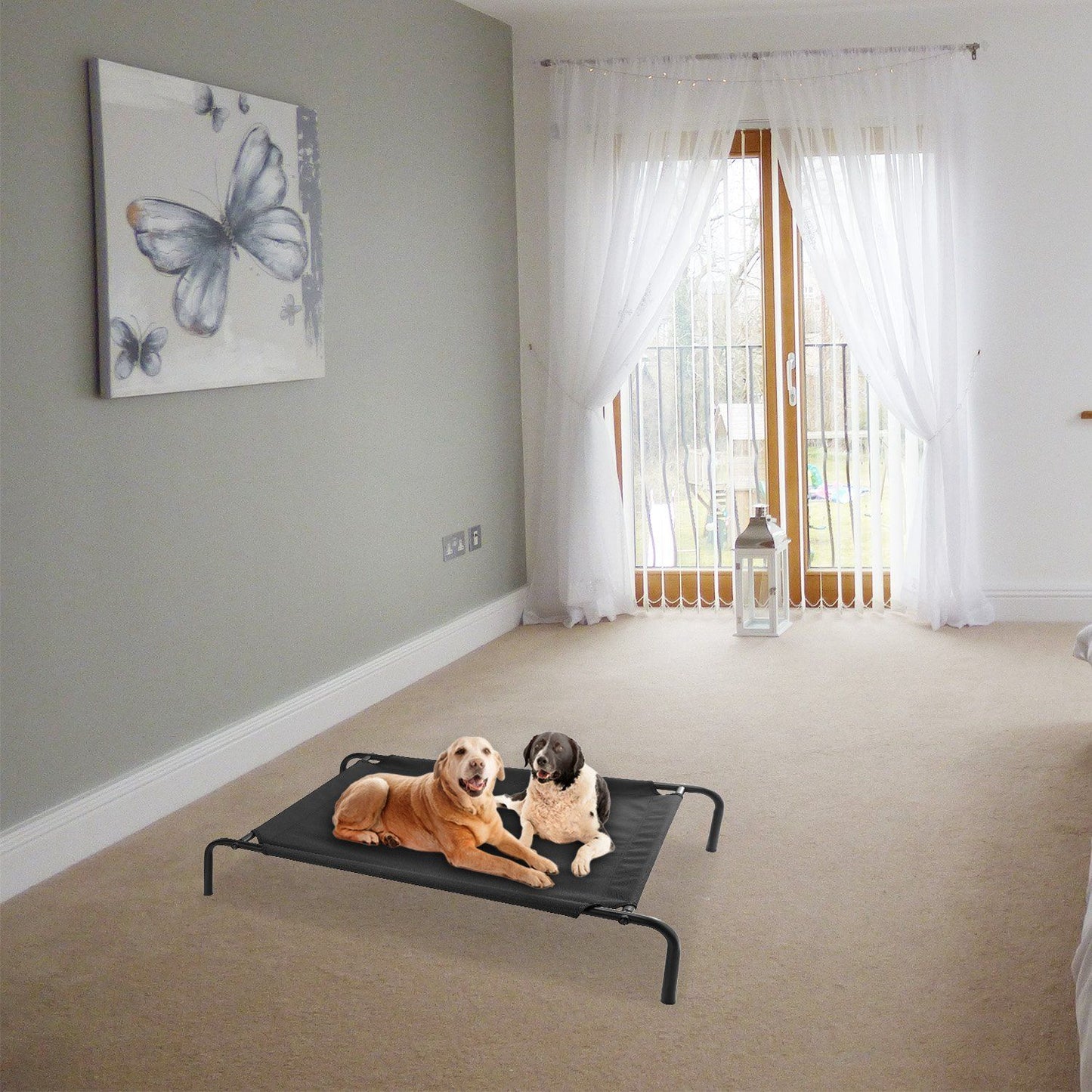 Two dogs lying together on a black elevated pet bed in a bright living room