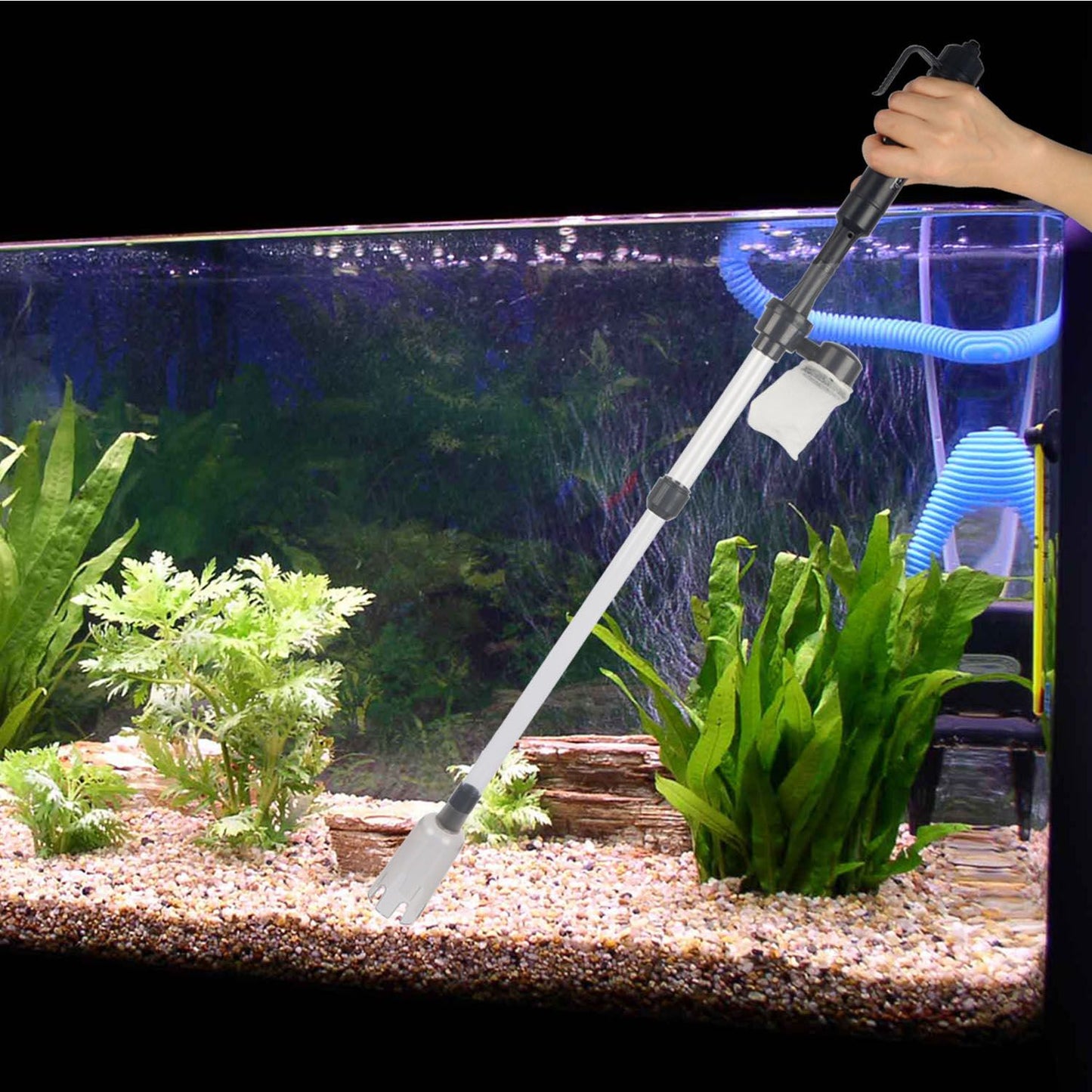 gravel cleaner inserted into planted aquarium with blue siphon hose running along tank edge