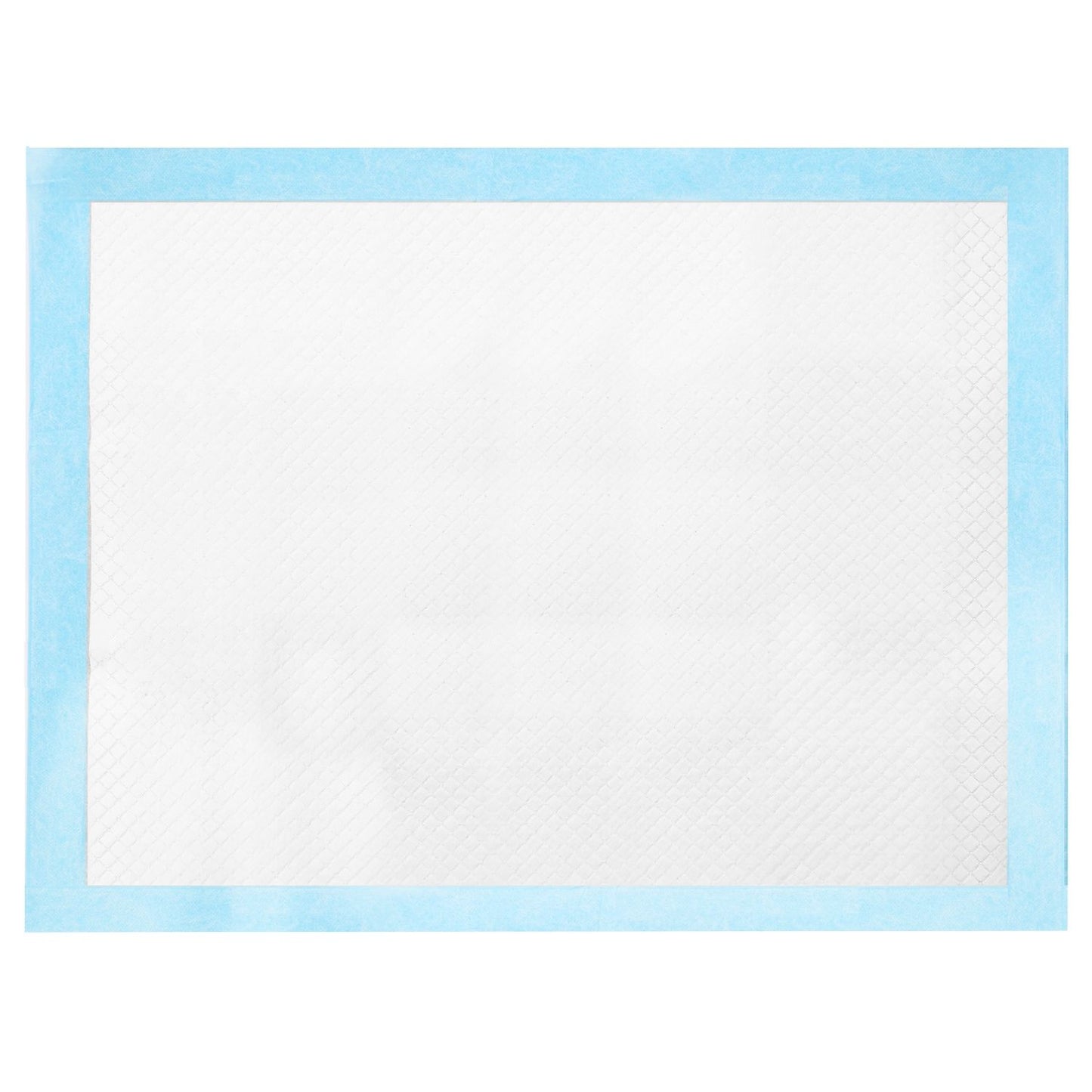Top view of training pad showing quilted absorbent surface and blue waterproof border