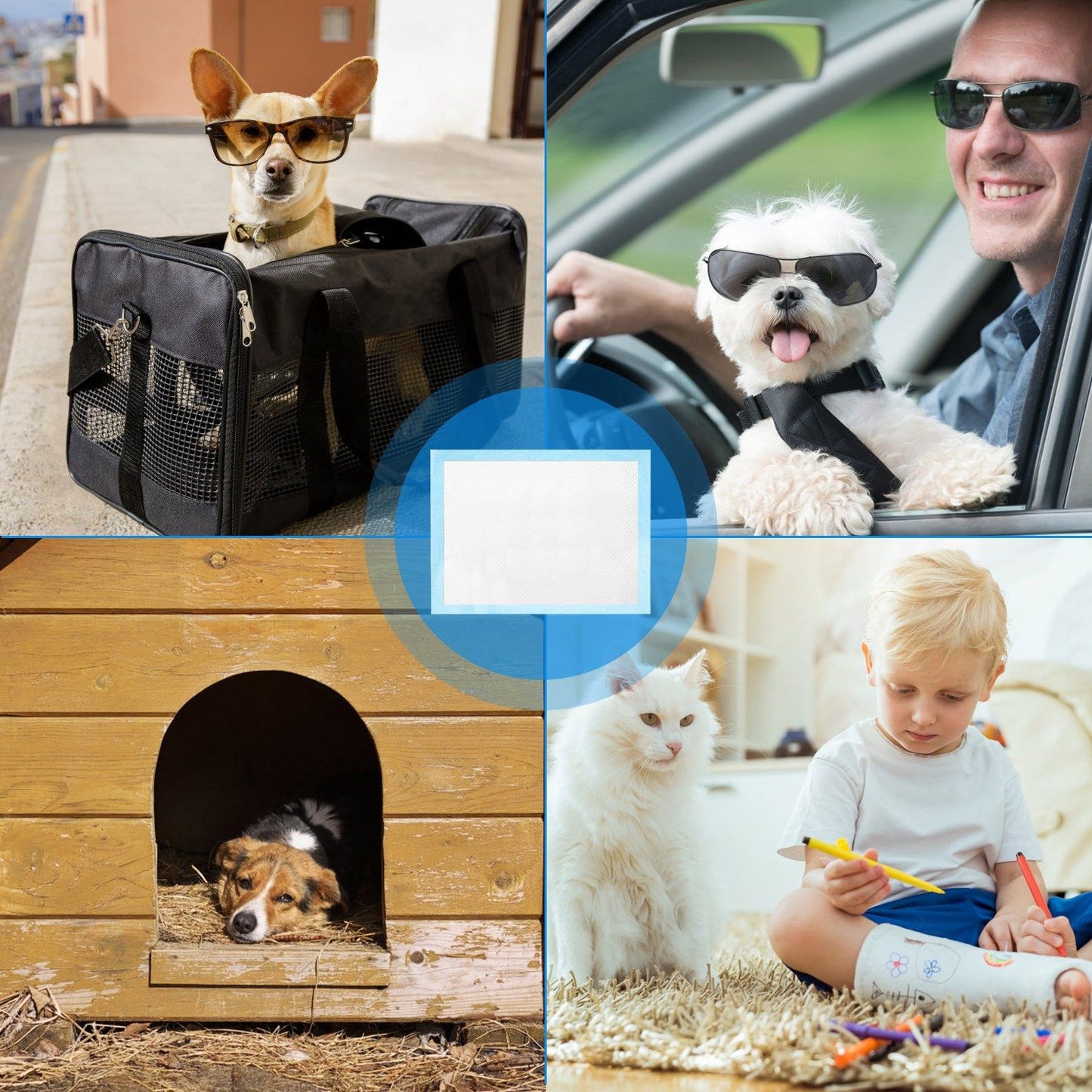 Collage of pad used in carrier car kennel and home to show versatile placement options
