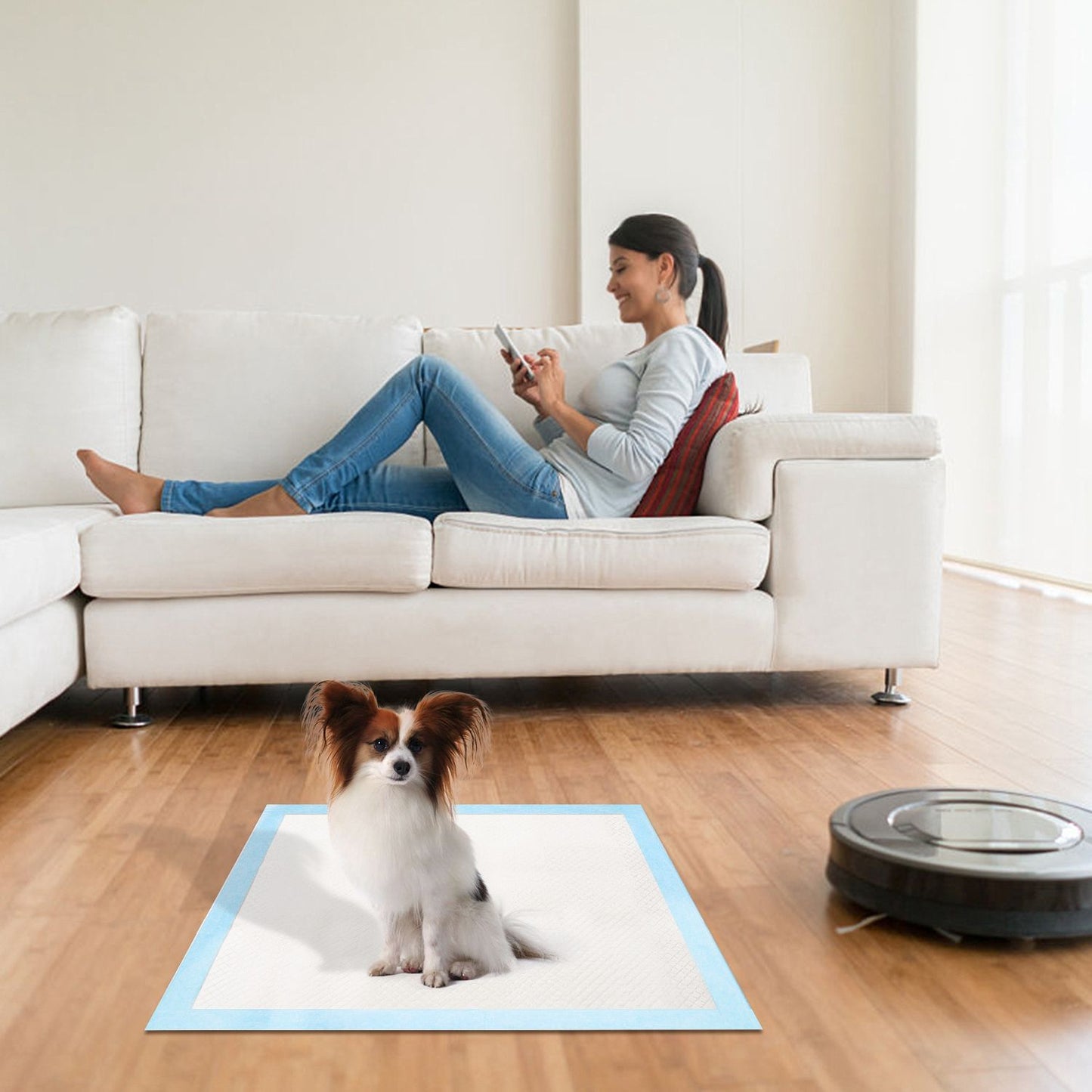 Small dog on training pad in living room near couch and robot vacuum on hardwood floor
