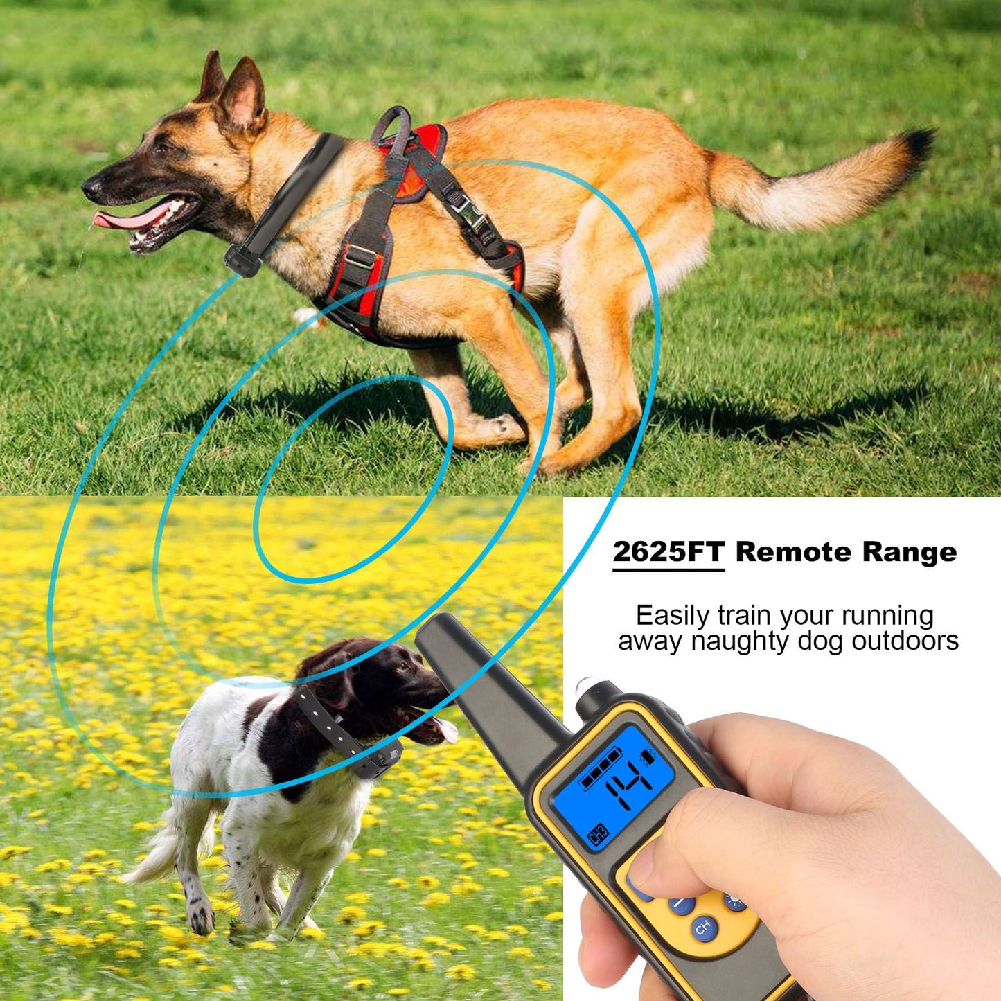 remote control sending signal to a running dog in a field illustrating 2625ft range