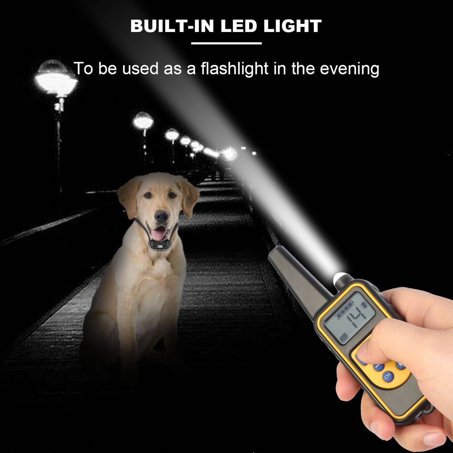 handheld remote shining built-in LED flashlight beam toward a dog at night