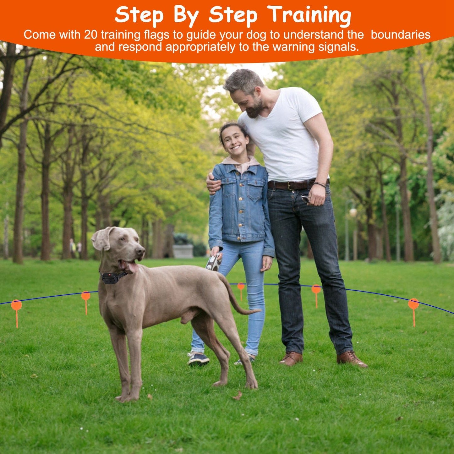 Family training a dog with boundary flags in a park to teach containment limits