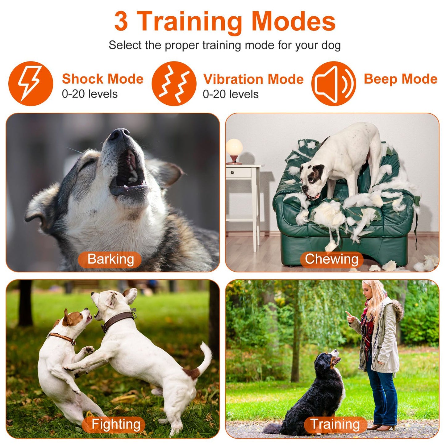 Collage showing shock, vibration and beep modes with dogs barking, chewing, fighting and training