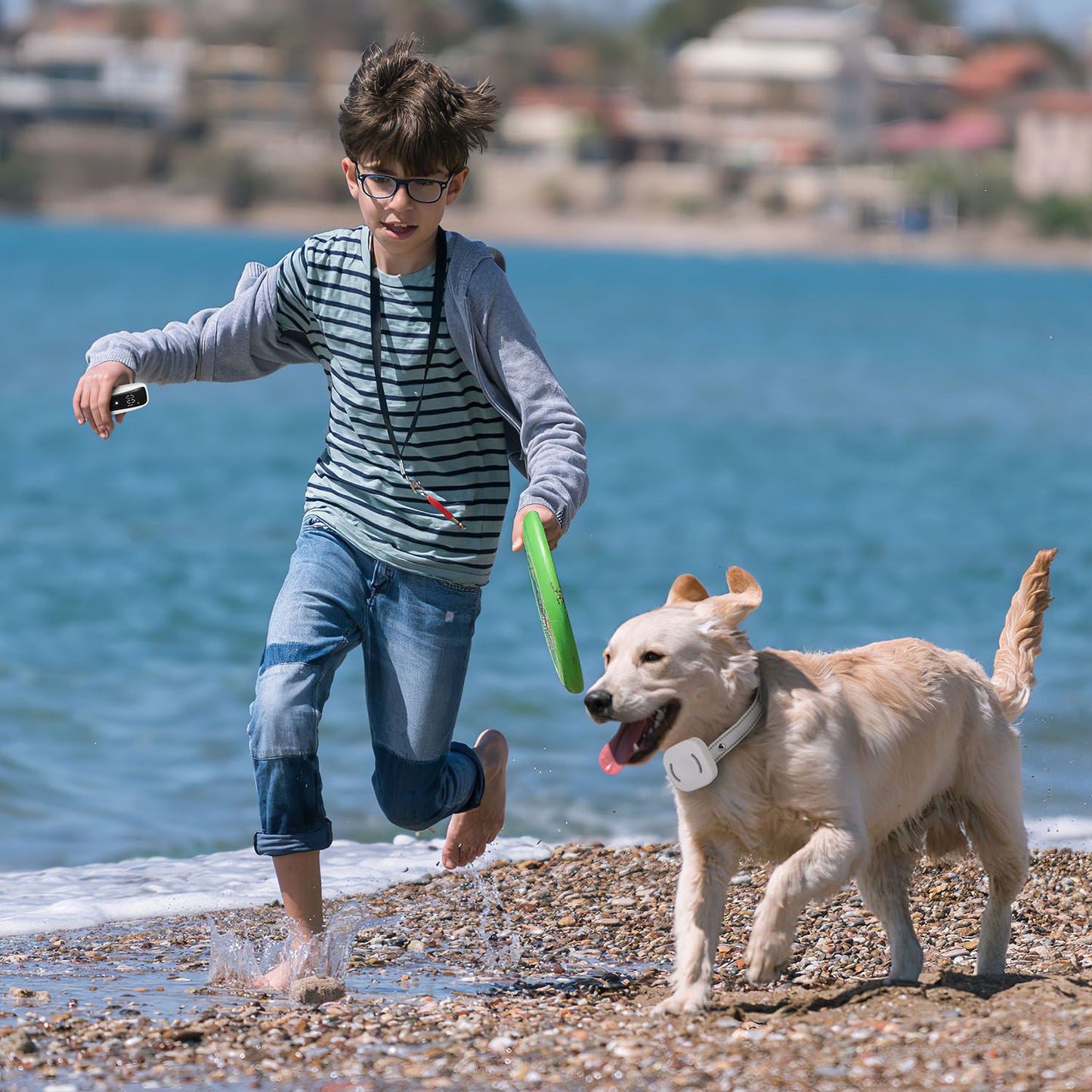 Child running on a beach with a dog wearing a white waterproof receiver collar during outdoor play