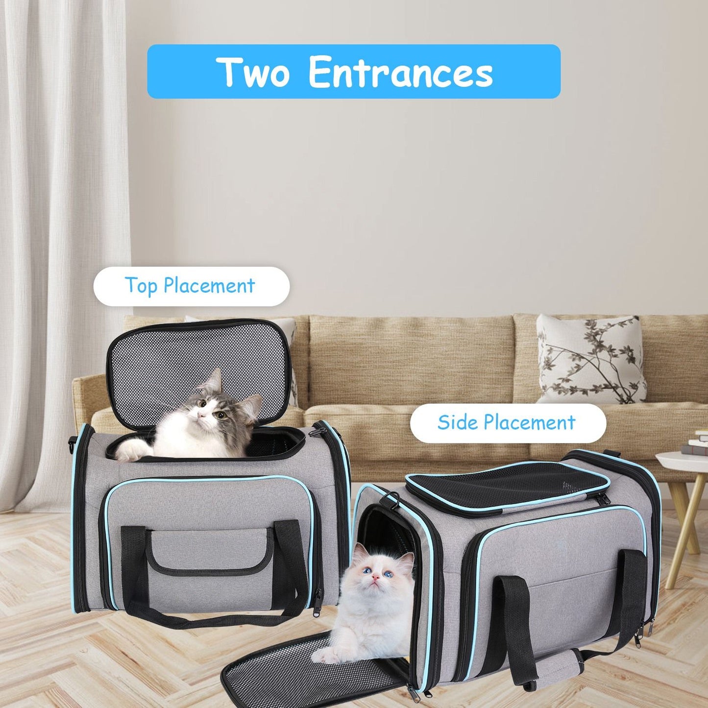 Two-entrance carrier showing top and side openings with a cat in each placement