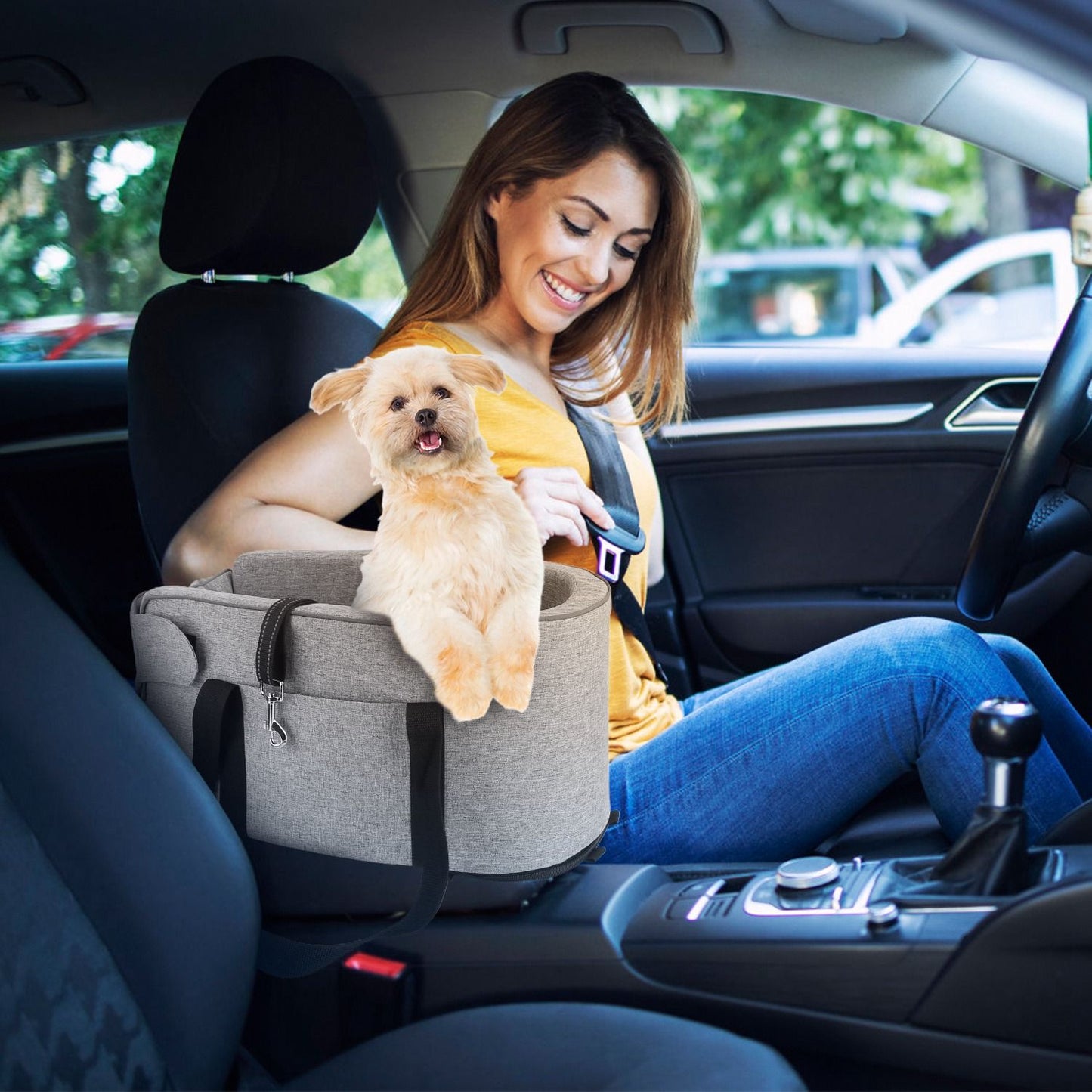 Light gray booster seat on center console with small dog inside beside driver
