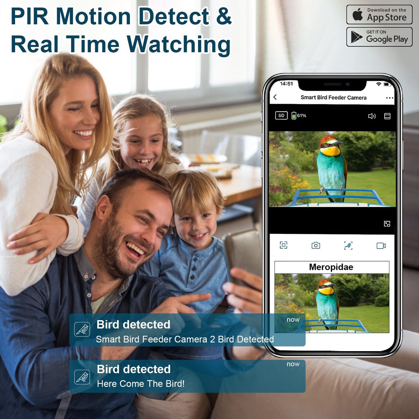 Phone receiving bird detected notifications and live view from the feeder camera