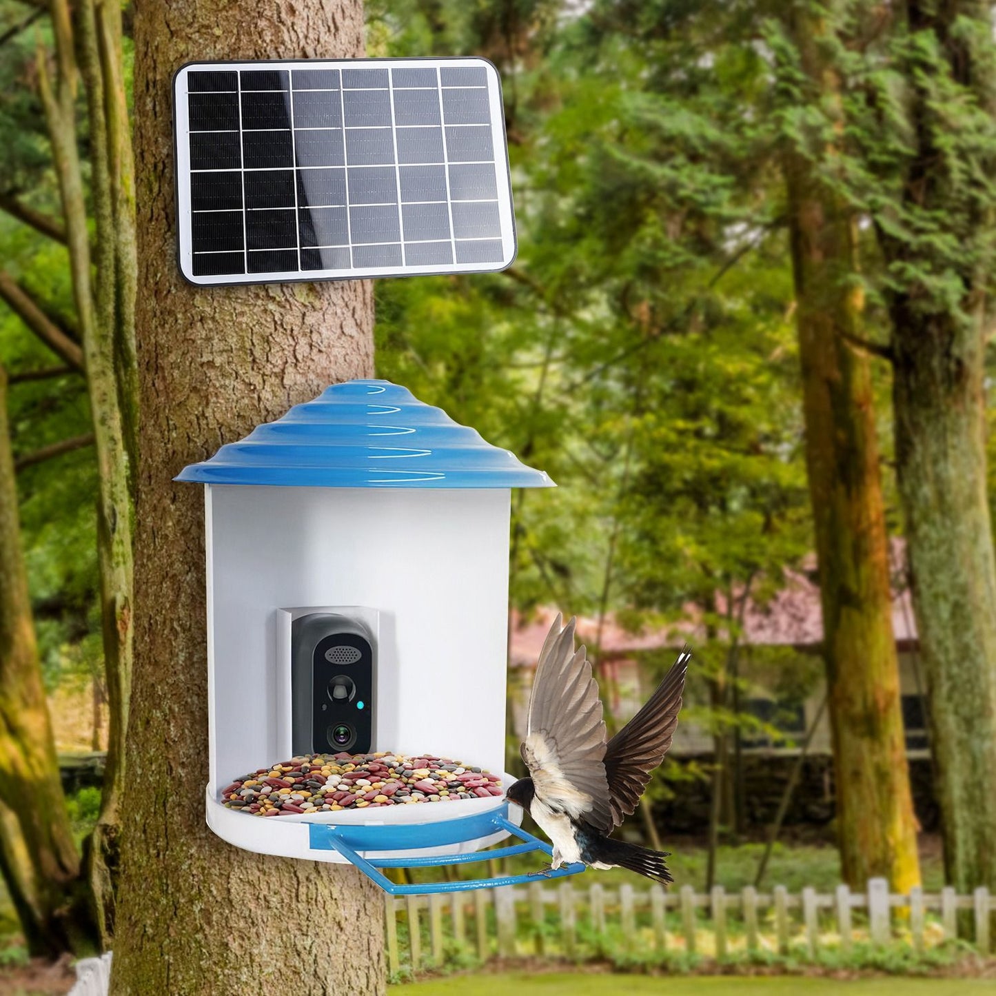 Mounted bird feeder with solar panel above and small bird landing on blue feeding bracket