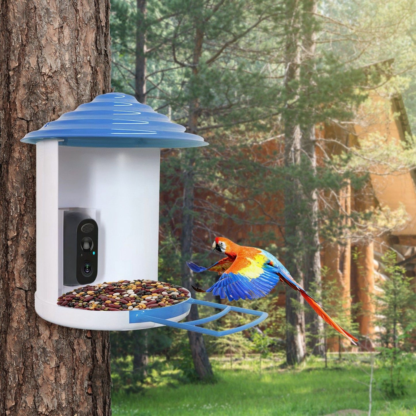 White and blue bird feeder on tree with parrot approaching the feeding tray and camera visible inside