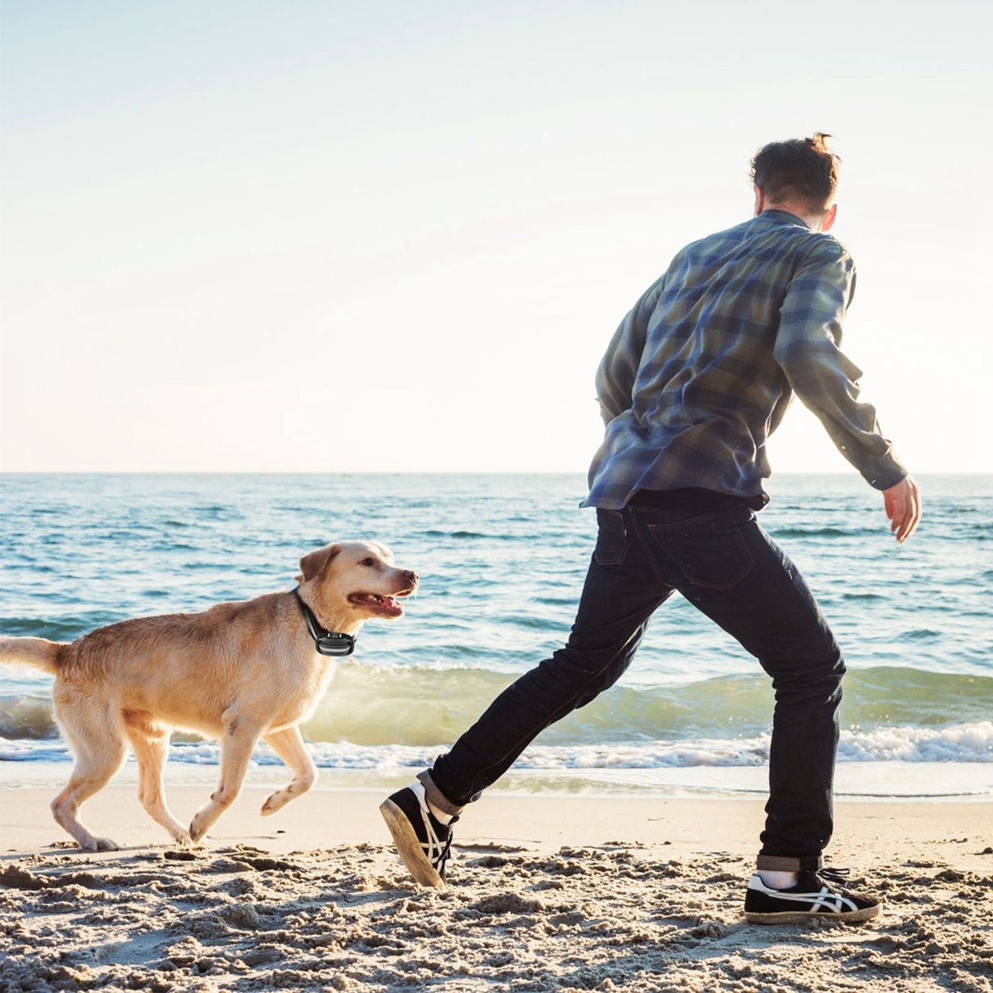 Person running along a beach with dog wearing GPS containment collar designed for outdoor activity