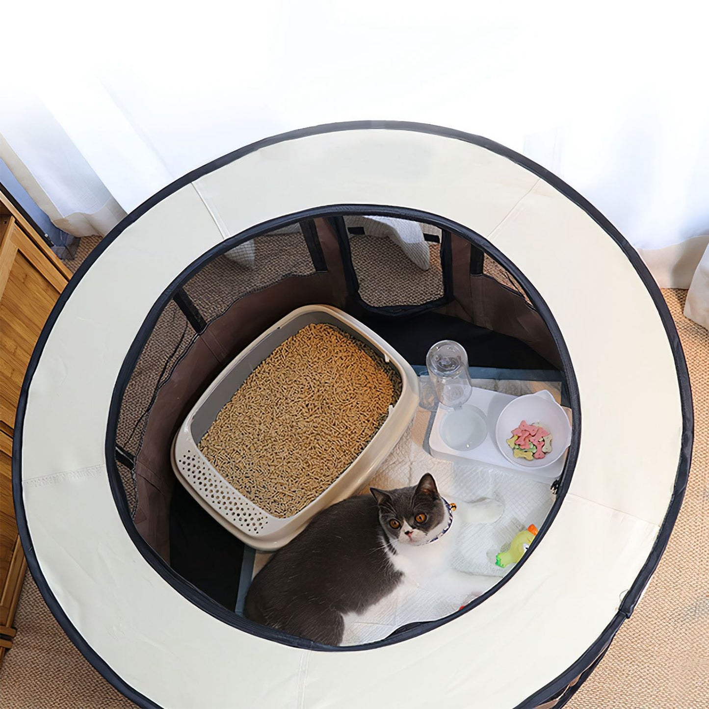 Top-down view of playpen interior with litter box and pet supplies