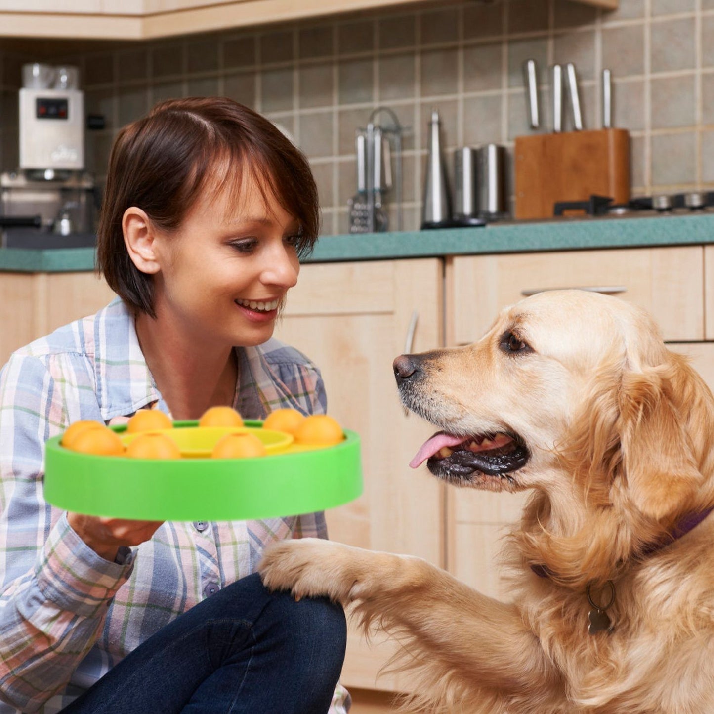 Person offering green puzzle feeder to golden retriever in a kitchen, dog attentive