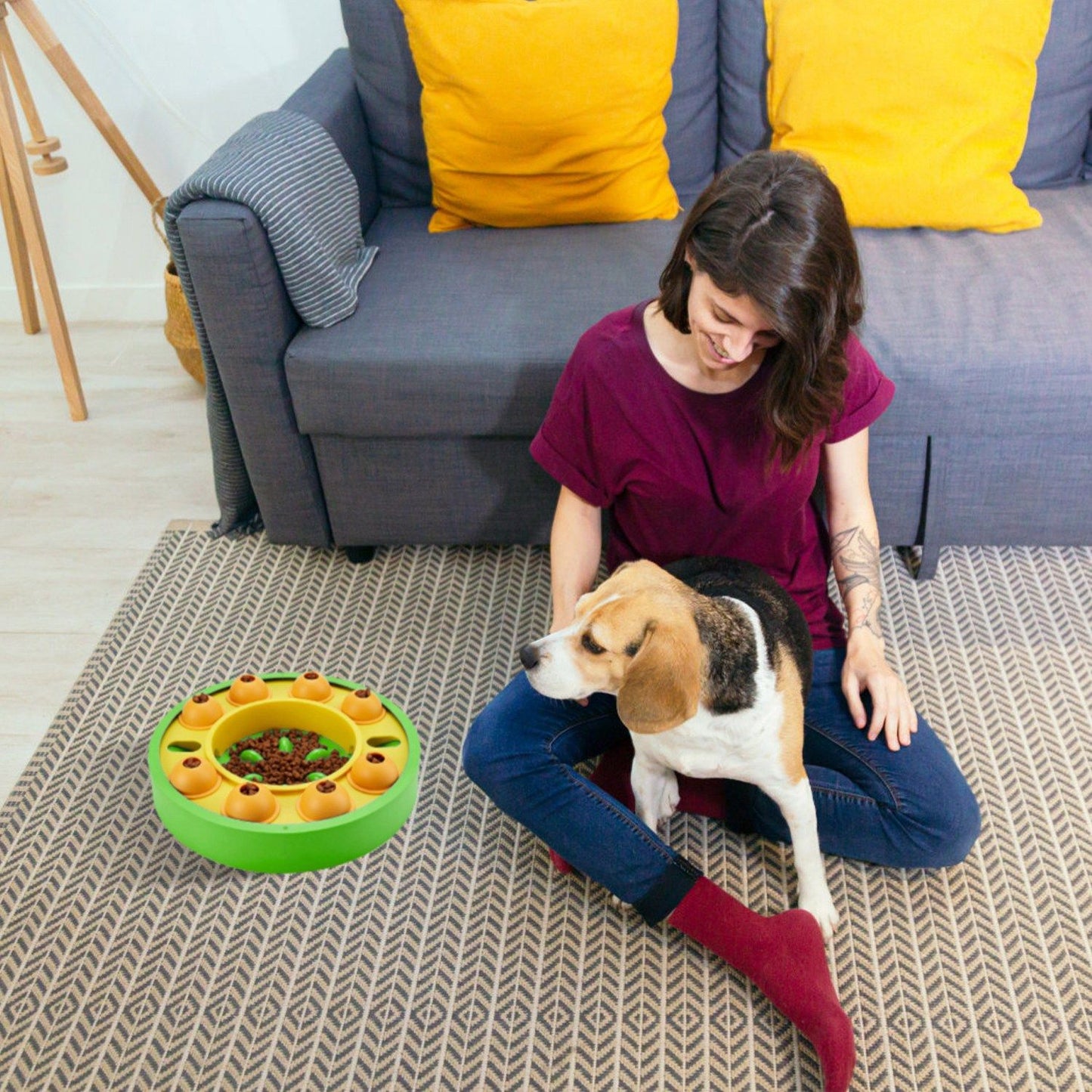 Person seated on floor with beagle next to a green puzzle feeder on a rug