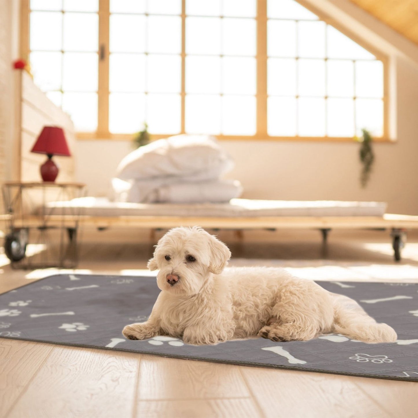 Cream-colored dog lying on grey paw-print mat on wooden floor showing indoor use and comfort
