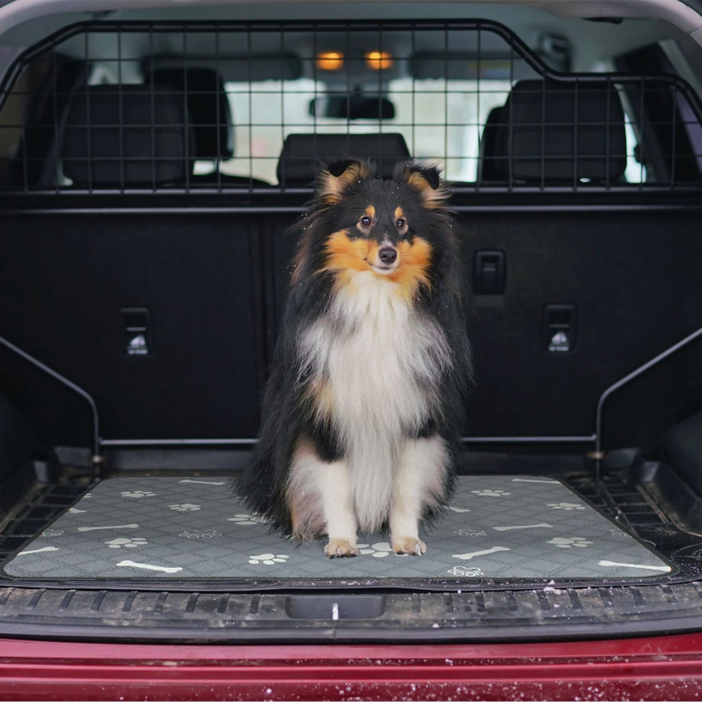 Medium dog seated on grey paw-print pad in car trunk demonstrating travel protection and fit