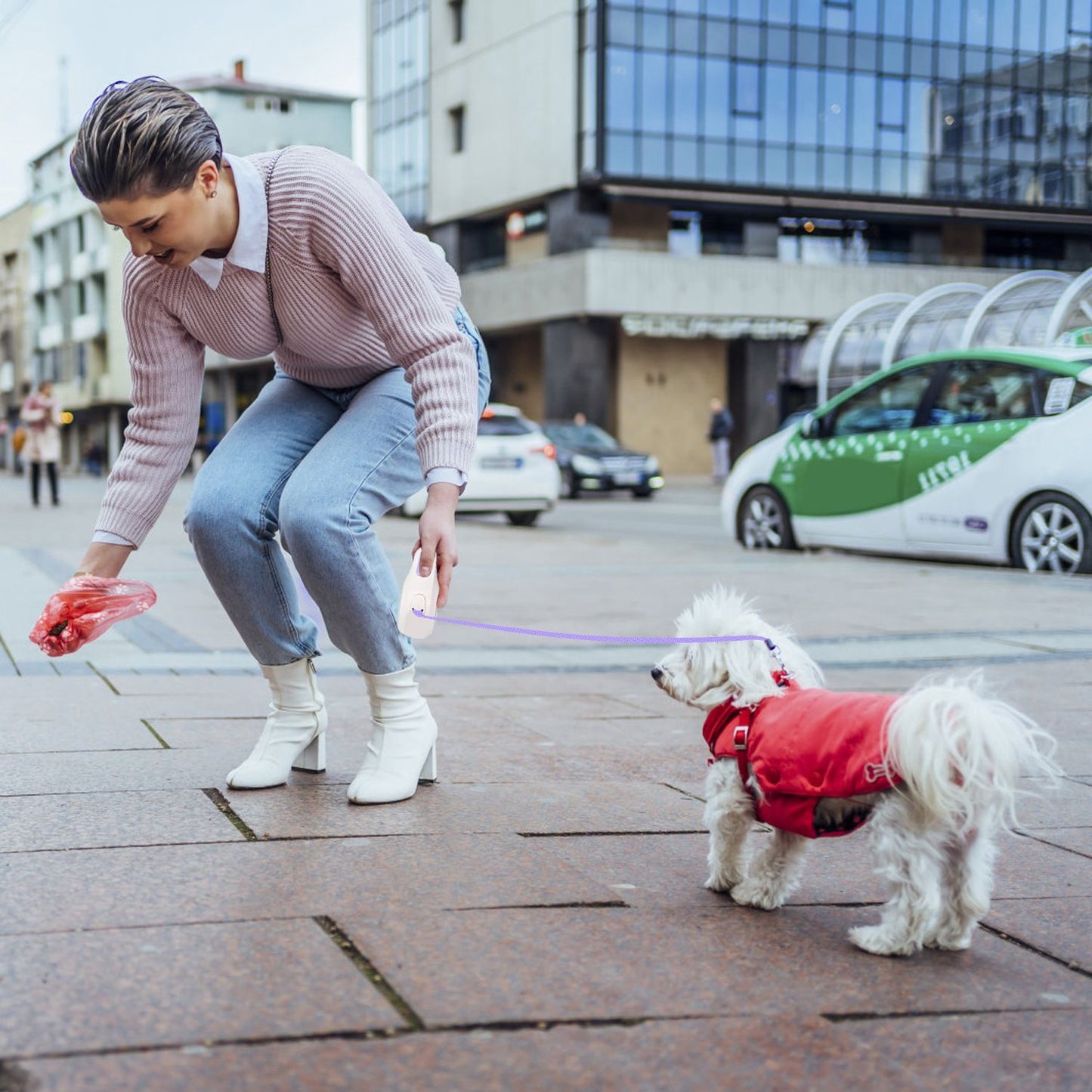 Owner picking up small white dog’s waste on city sidewalk using a red bag