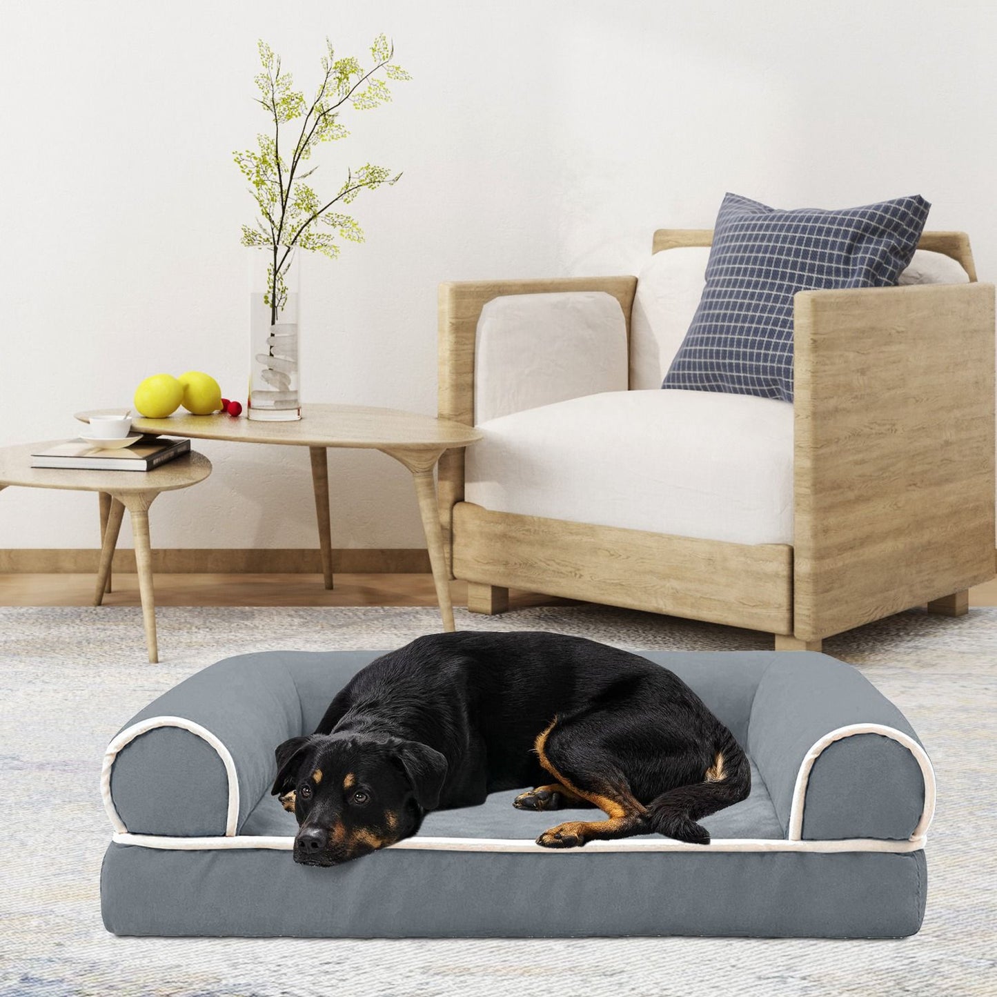black dog resting on grey bolstered bed in living room with chair in background