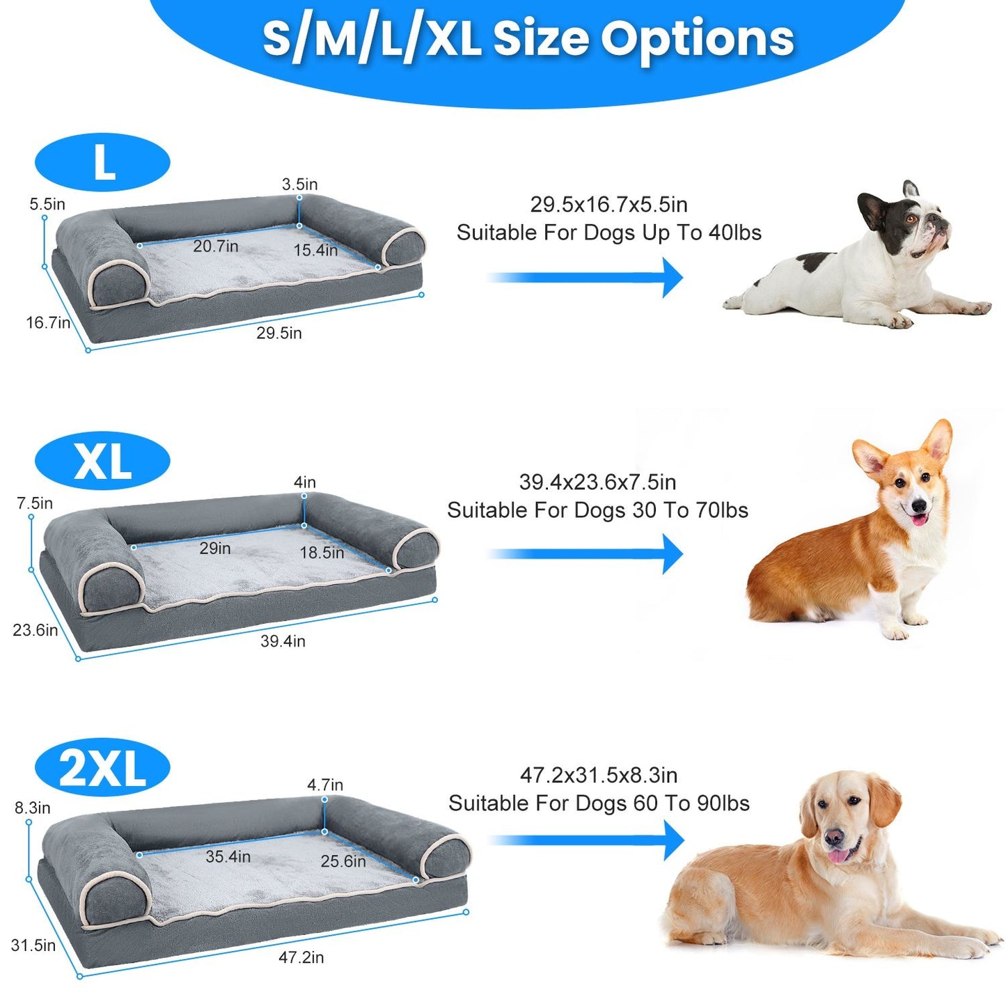 infographic showing L XL 2XL size dimensions and suitable dog weight ranges