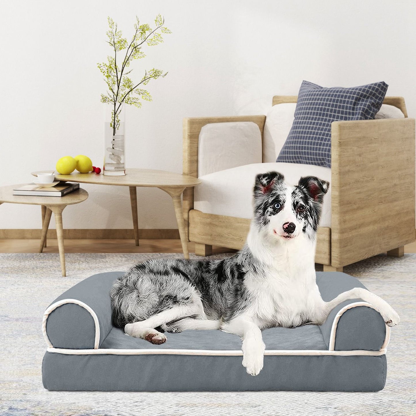 merle dog lying on dark grey bolstered pet sofa in living room
