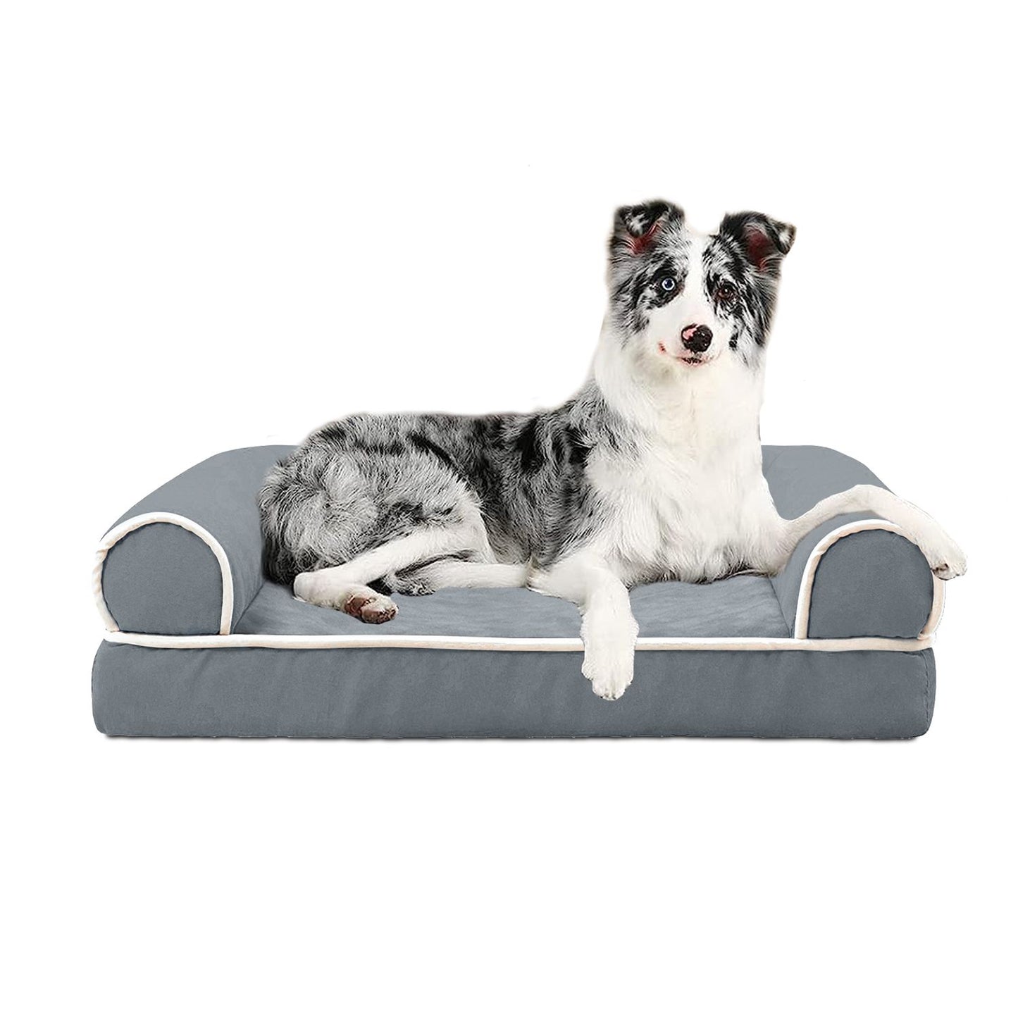 studio view of dark grey bolstered dog bed with dog on white background