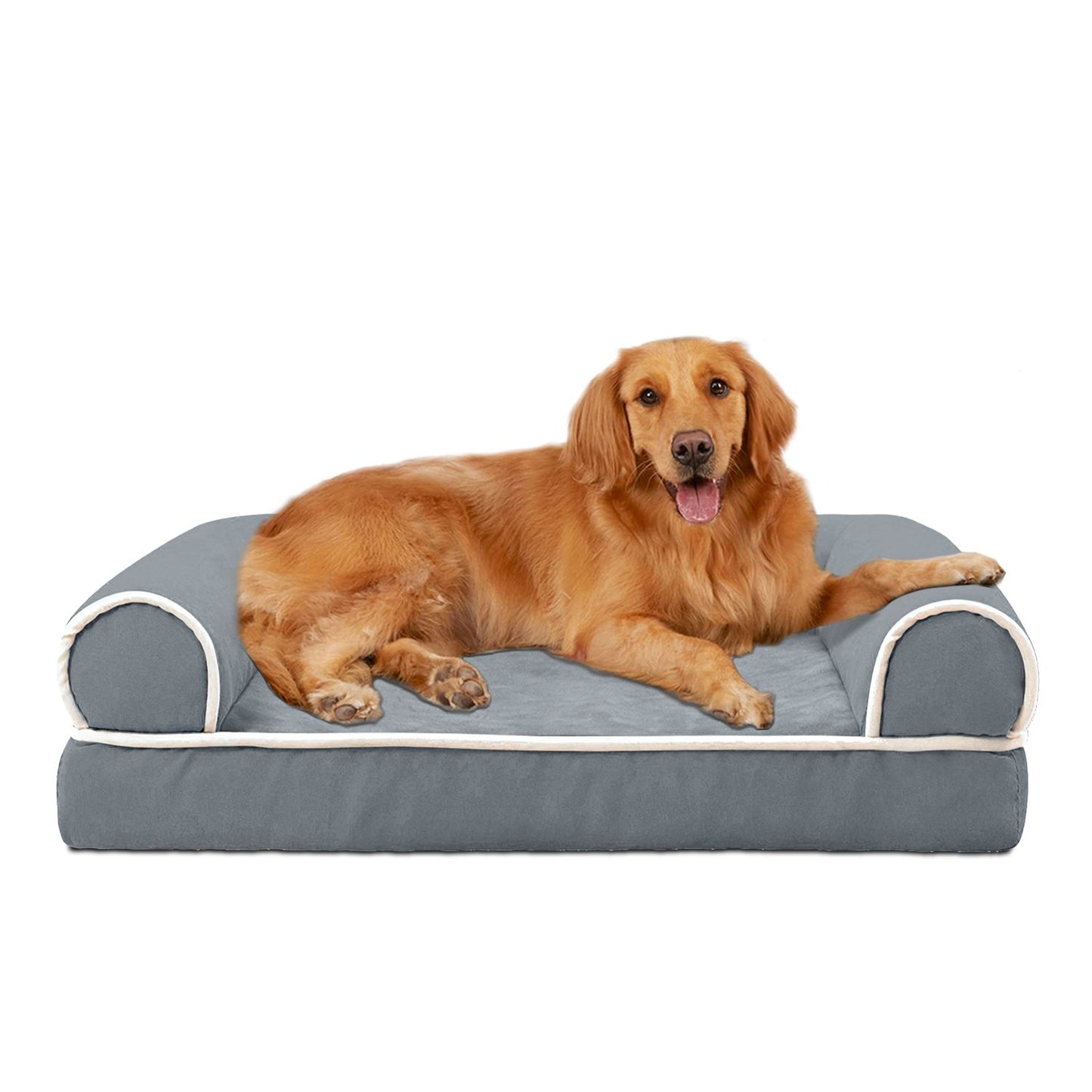 gold dog stretched across dark grey bolstered bed showing XL size fit
