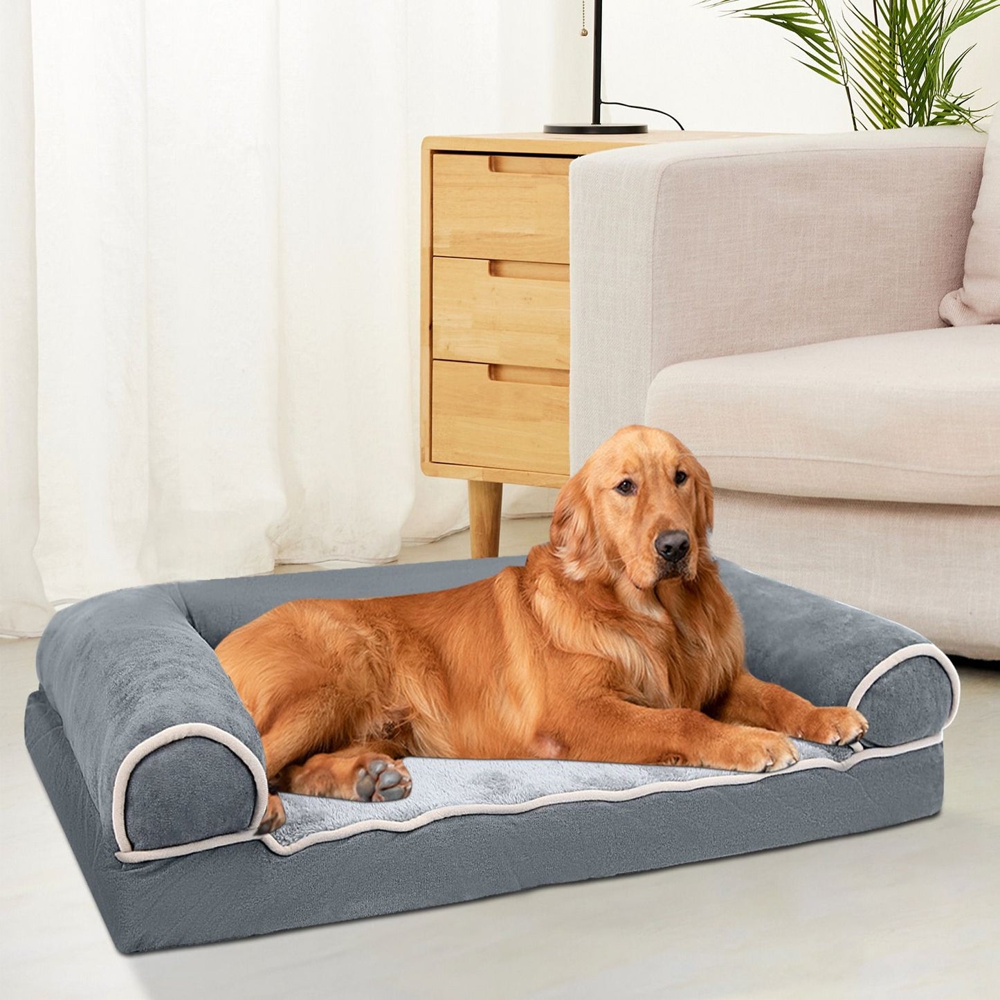gold dog on dark grey pet couch placed near sofa and nightstand in living room