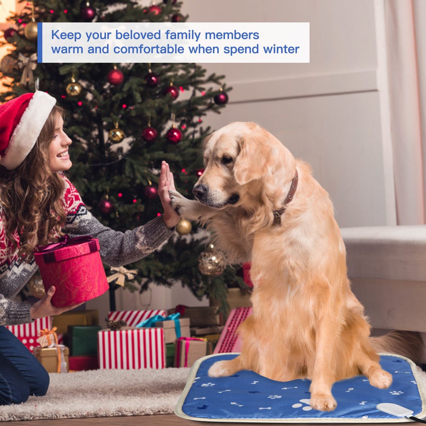 Golden retriever sitting on heated pad by Christmas tree, showing indoor seasonal use