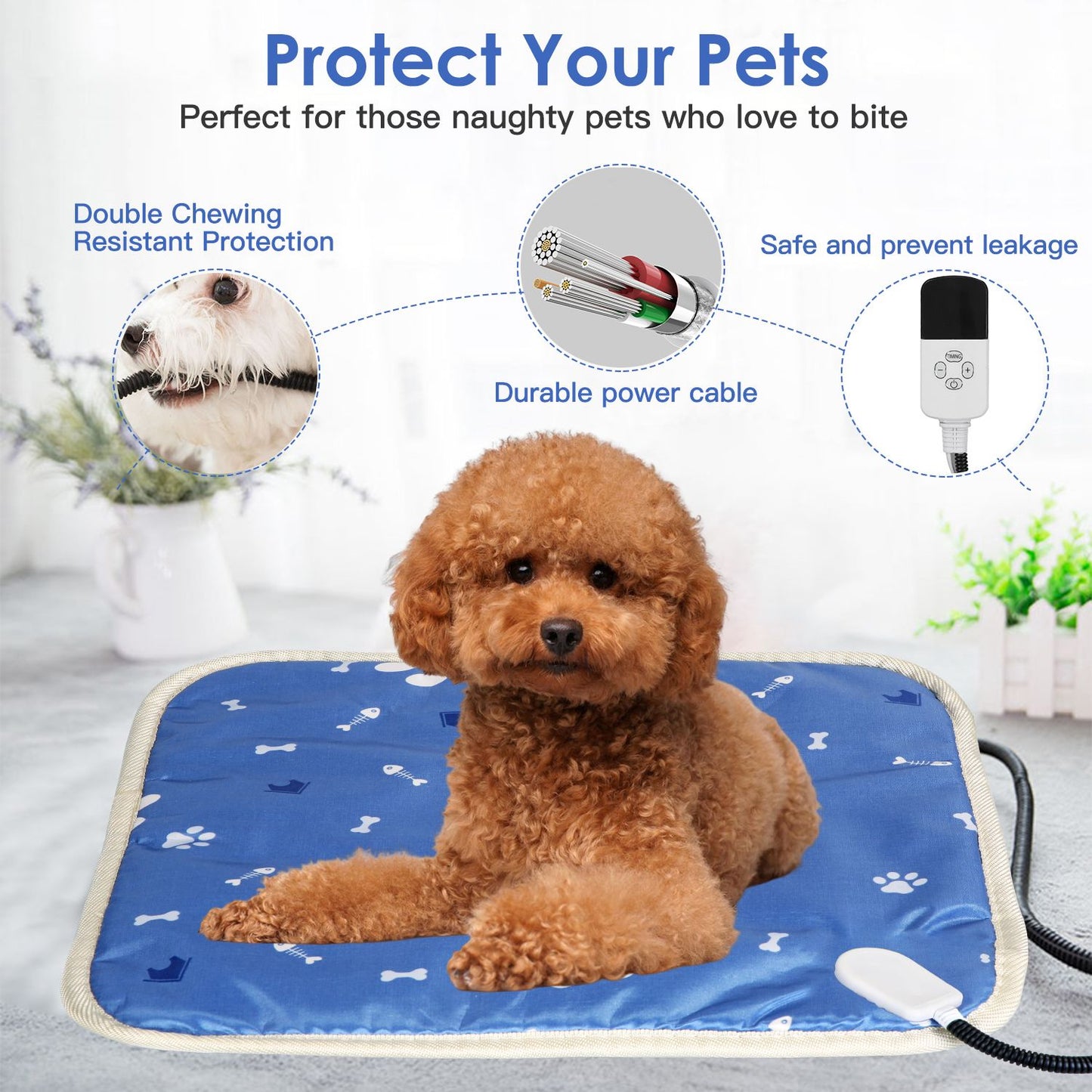 Poodle on blue heated pad with icons showing chewing-resistant tube and durable power cable