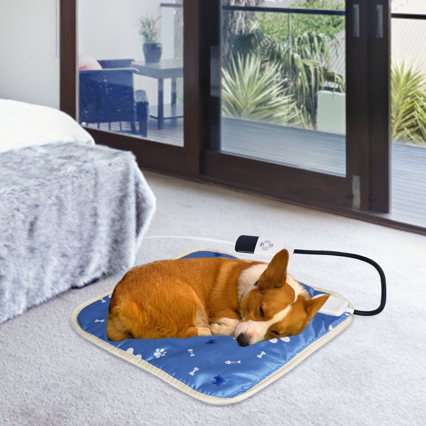 Corgi sleeping on heated pad on bedroom carpet showing cozy indoor placement