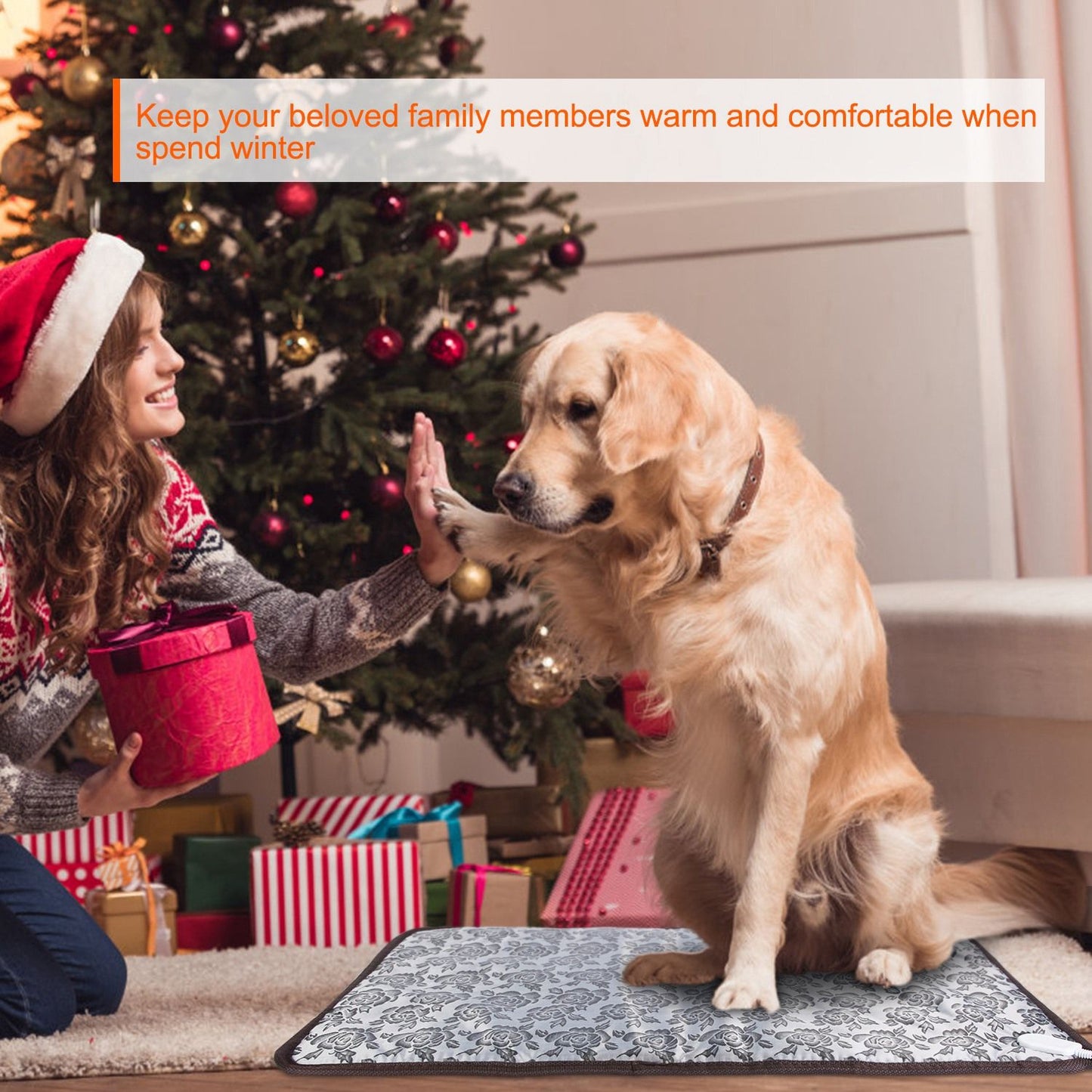 Golden retriever sitting on heated floral pad in living room by tree