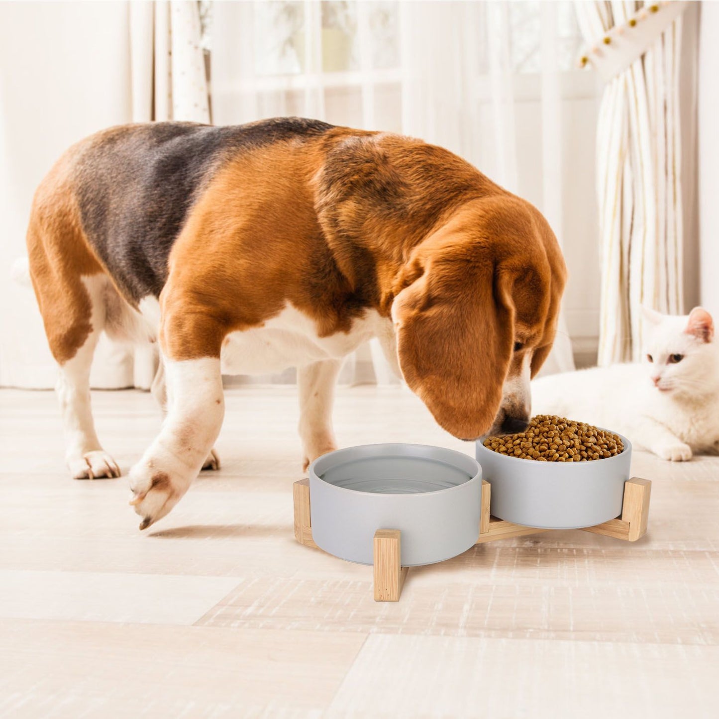 Beagle and cat around grey ceramic double bowls on a wooden stand in a home setting.