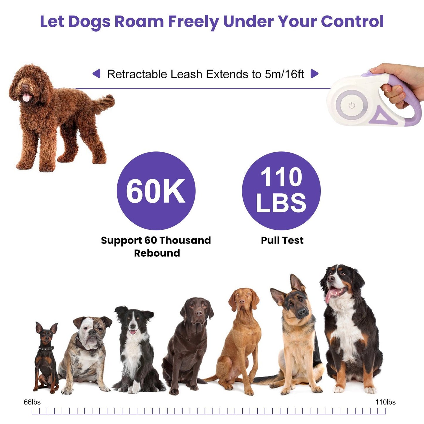graphic showcasing 16ft range and 110 lb pull test for the retractable leash