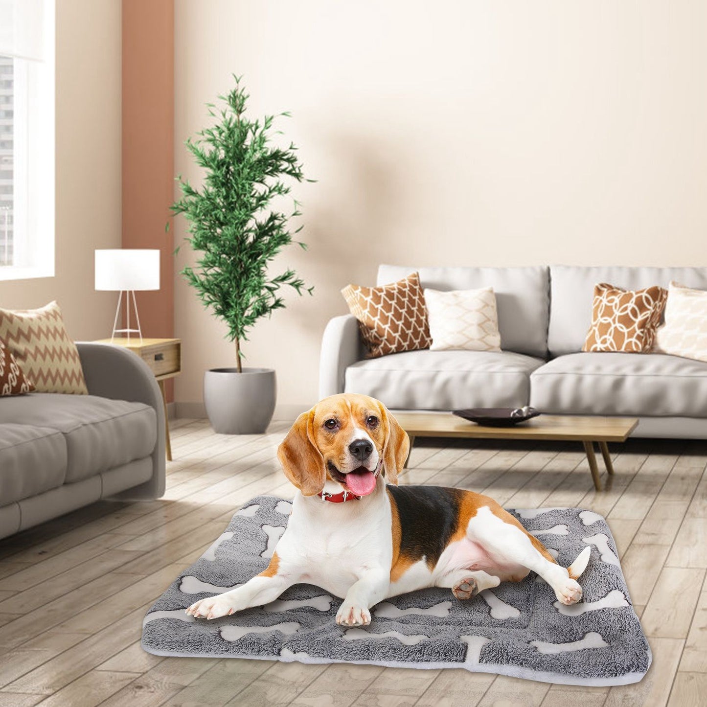 Medium dog reclining on grey flannel mat in modern living room near sofa