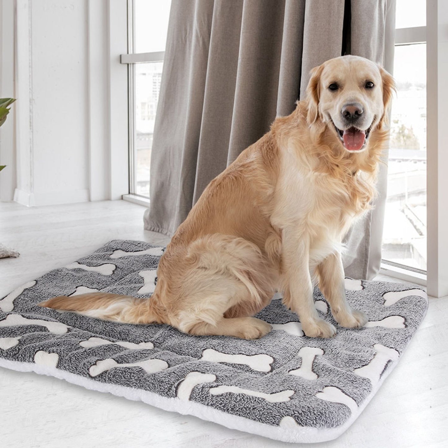 Golden retriever sitting on grey bone-pattern mat by window demonstrating indoor use
