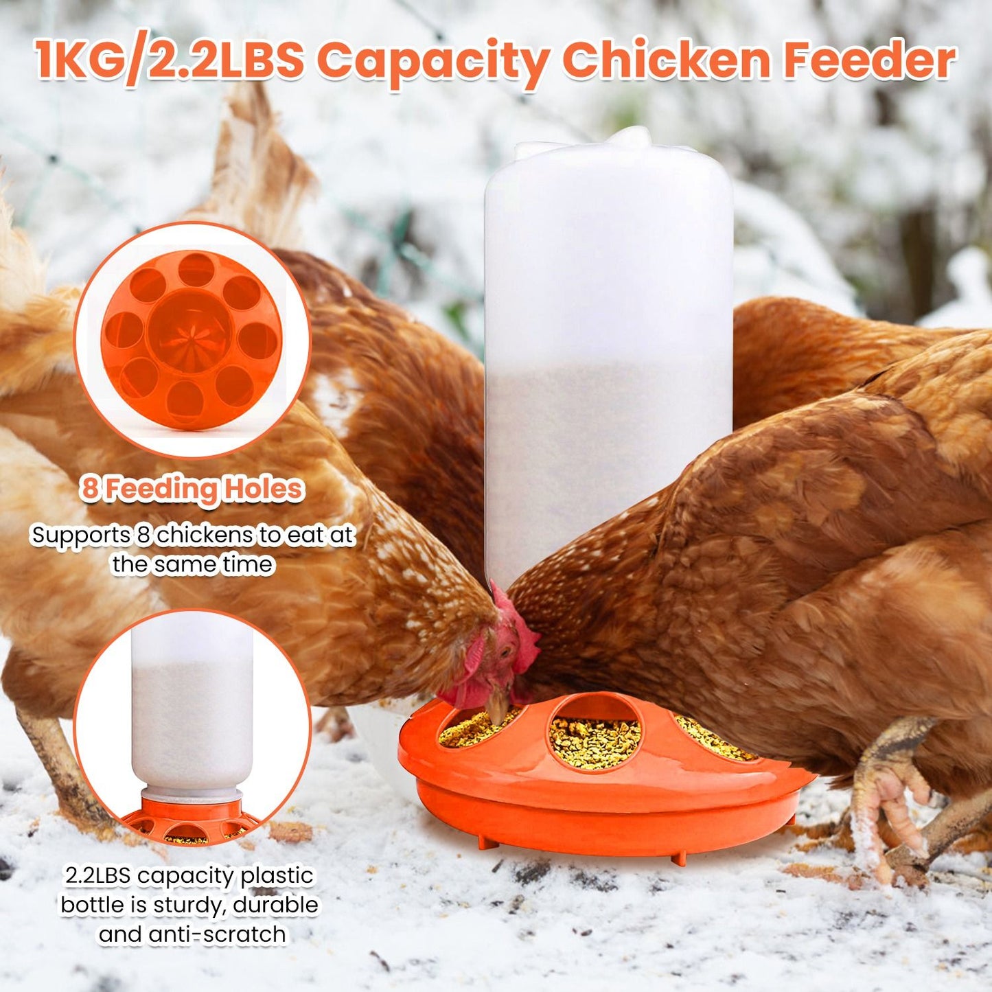2.2 lb capacity feeder with eight feeding holes feeding several chickens