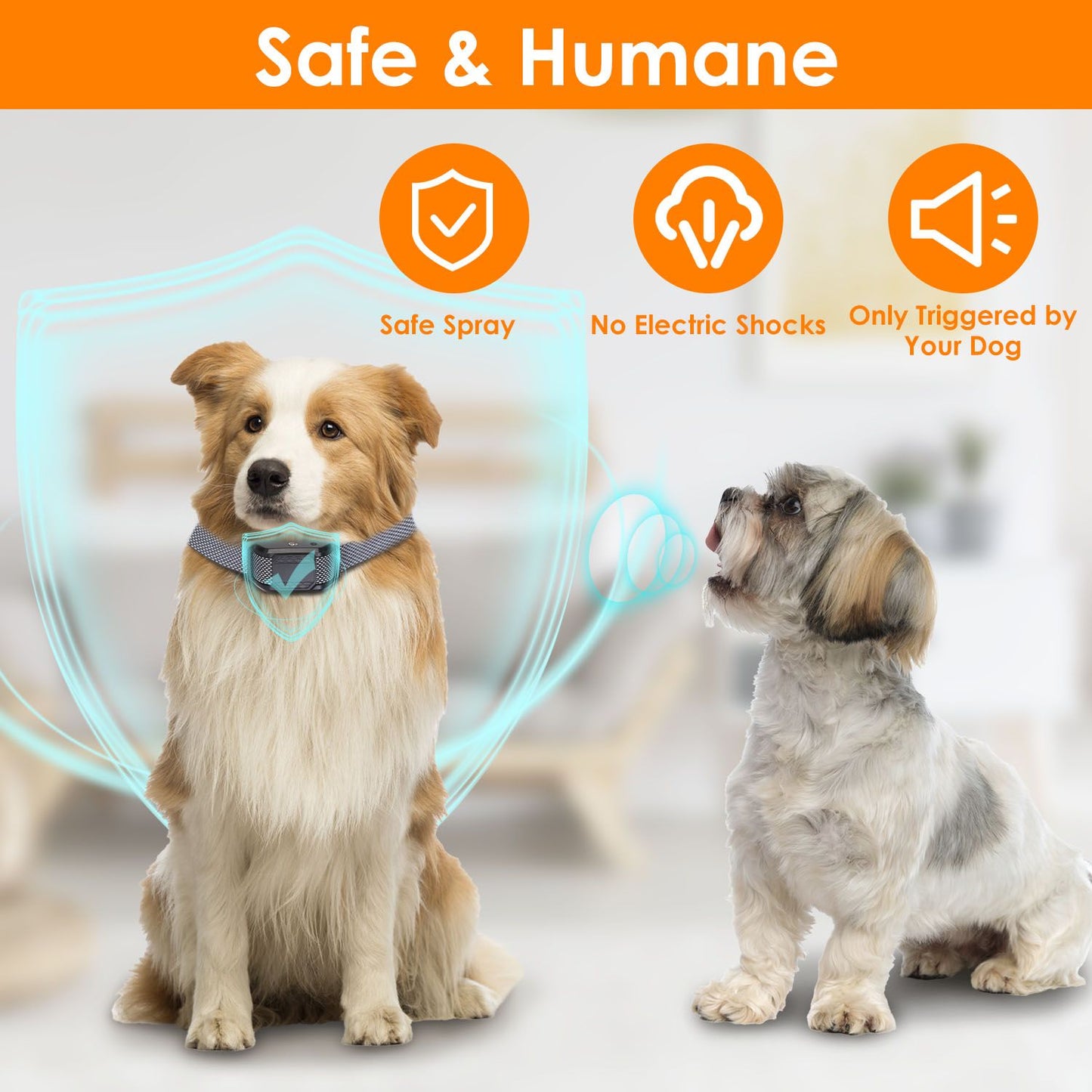 Two dogs in a living room one wearing the citronella spray bark collar with safe and humane feature icons