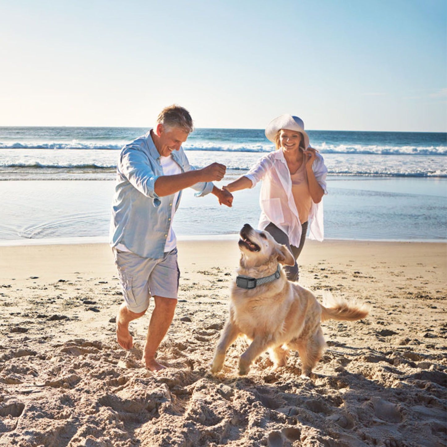 Dog wearing the citronella spray collar walking on a beach with two people, illustrating outdoor use