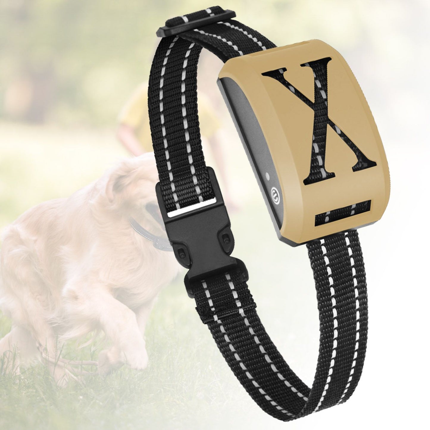 Gold receiver collar displayed with outdoor background, showing X grille and reflective black strap