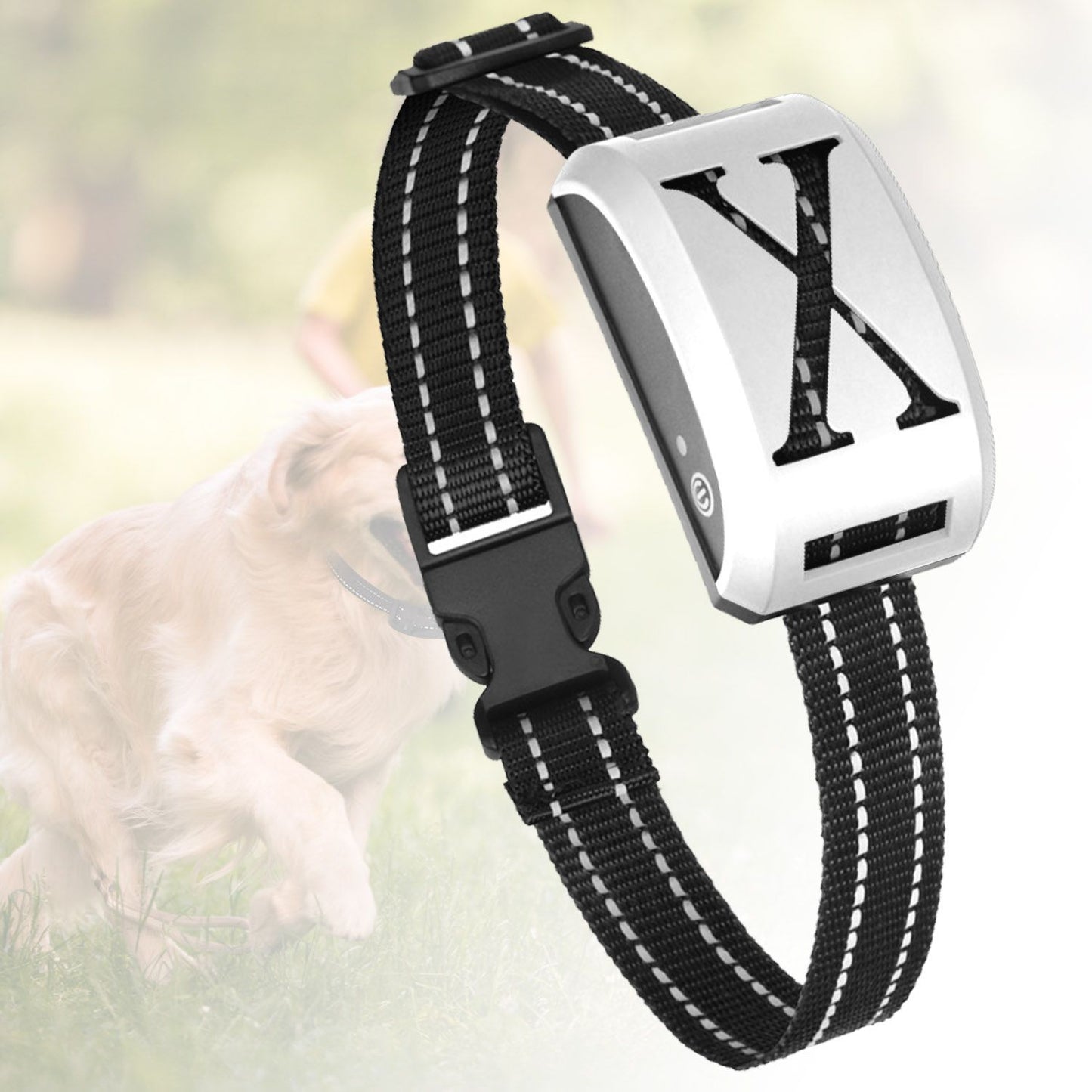 Silver receiver collar with black reflective strap shown against soft outdoor backdrop