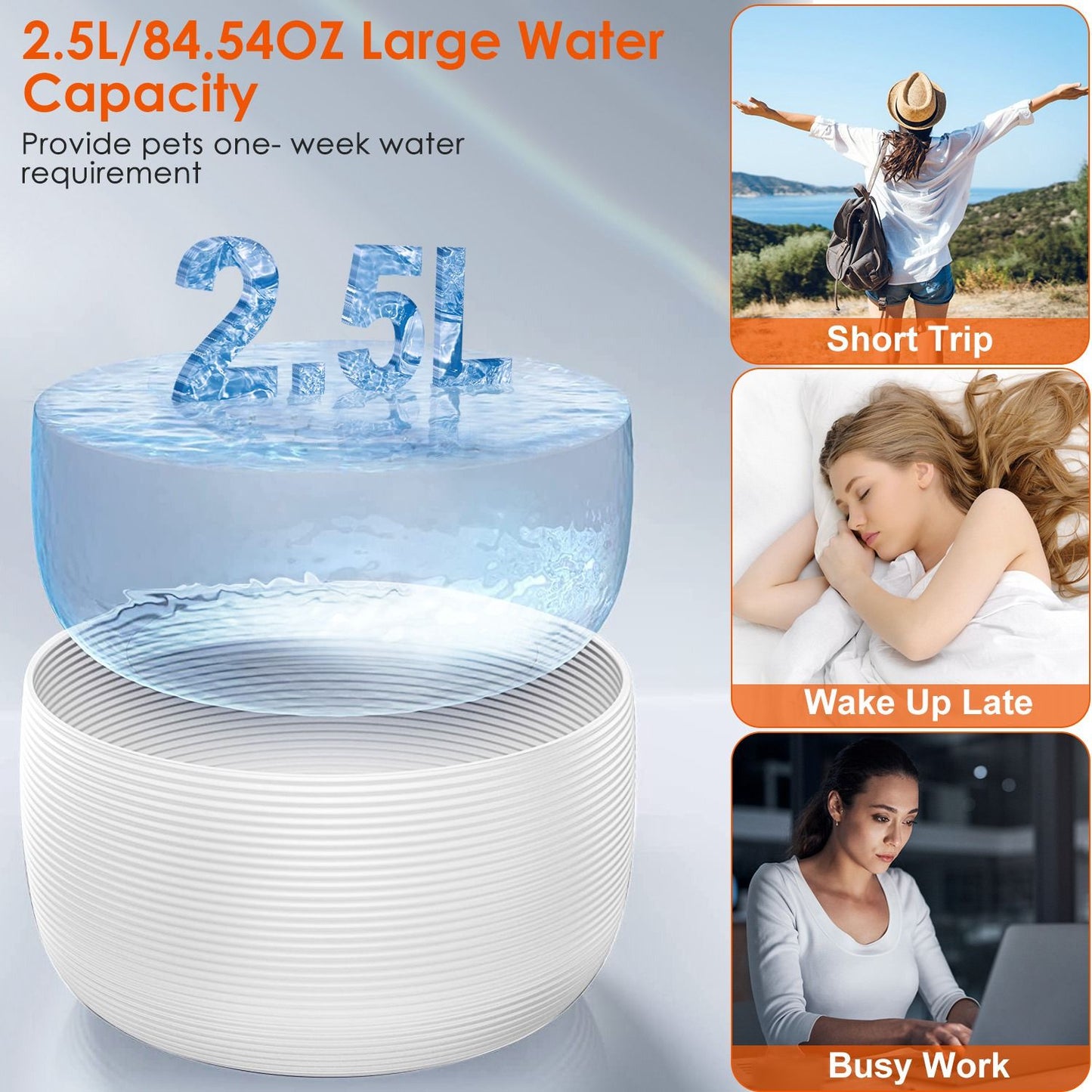 2.5L capacity graphic showing large water volume and one-week supply for small to medium pets
